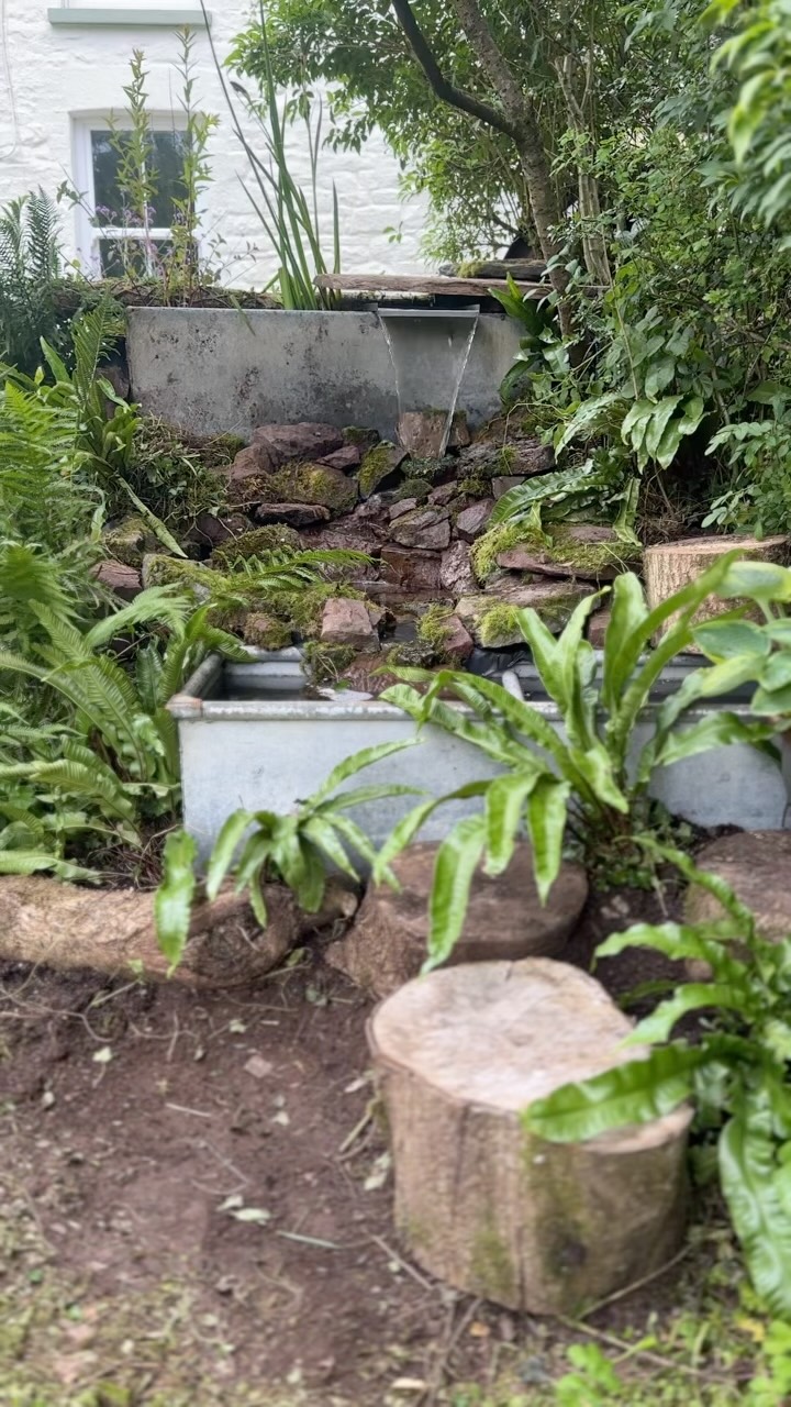 There’s something very calming about sitting next to running water…..
I think I’ve finished this for now.
I may get a small waterlily to go in the bottom trough.
I’ll add a few plants here and there, but allow nature to take it over a little.
It is such a lovely addition to the garden.
Thank you to @poposoapsolar who sent me the pump and spillway set, after I told them about my vision.
I will be creating a YouTube video about how I did this. It was actually a lot easier than I’d anticipated and the kit could be used in all sorts of scenarios!
I will be planning a cam here to see if the birds take advantage!
#poposoap
#gardenproject
#gardeningforwildlife
#gwyllthollow