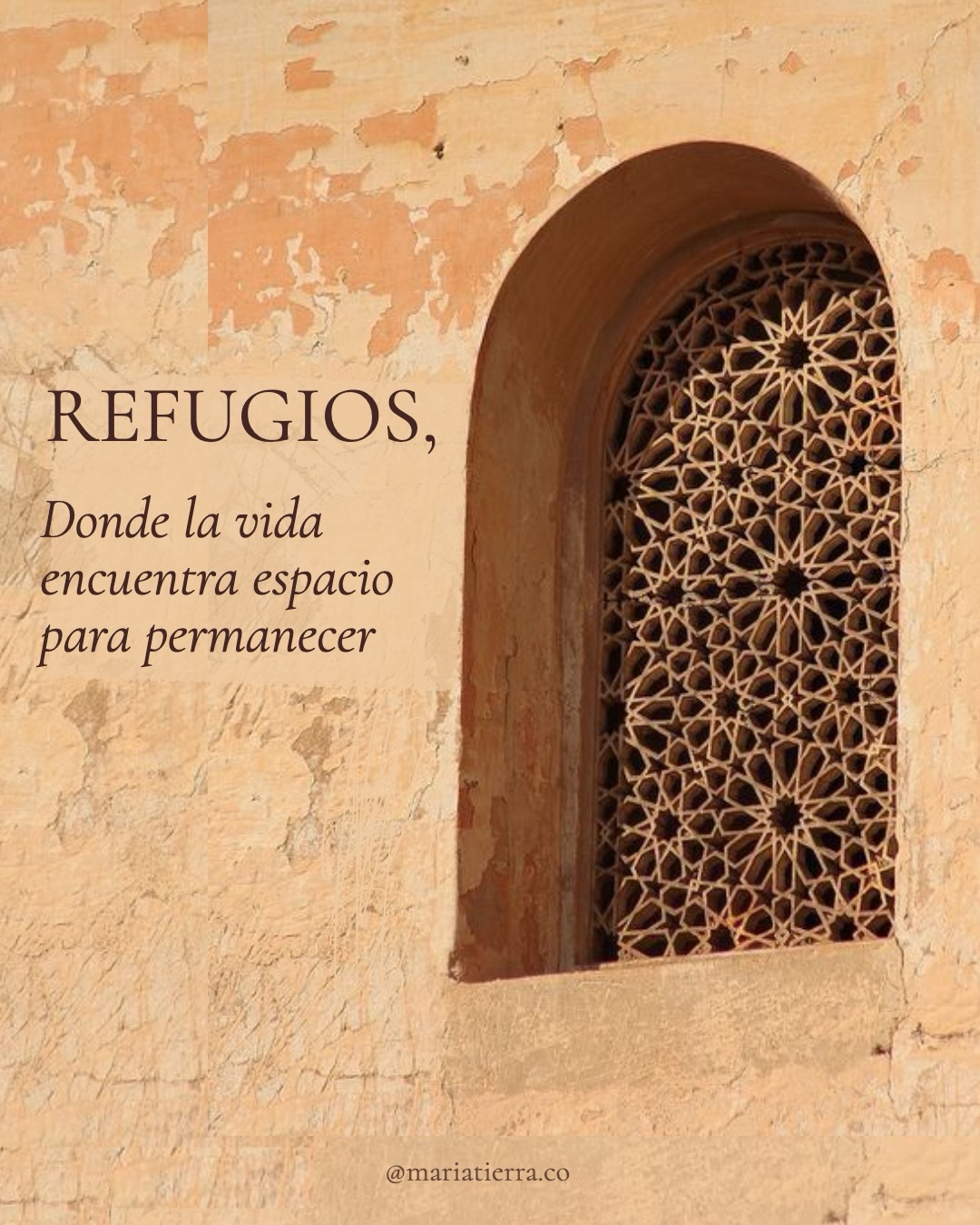 A veces no necesitamos respuestas.
Necesitamos habitar un refugio el tiempo suficiente para descubrir aquello que todavía no sabíamos preguntarnos.
—
¿Qué ha sido un refugio para ti últimamente?