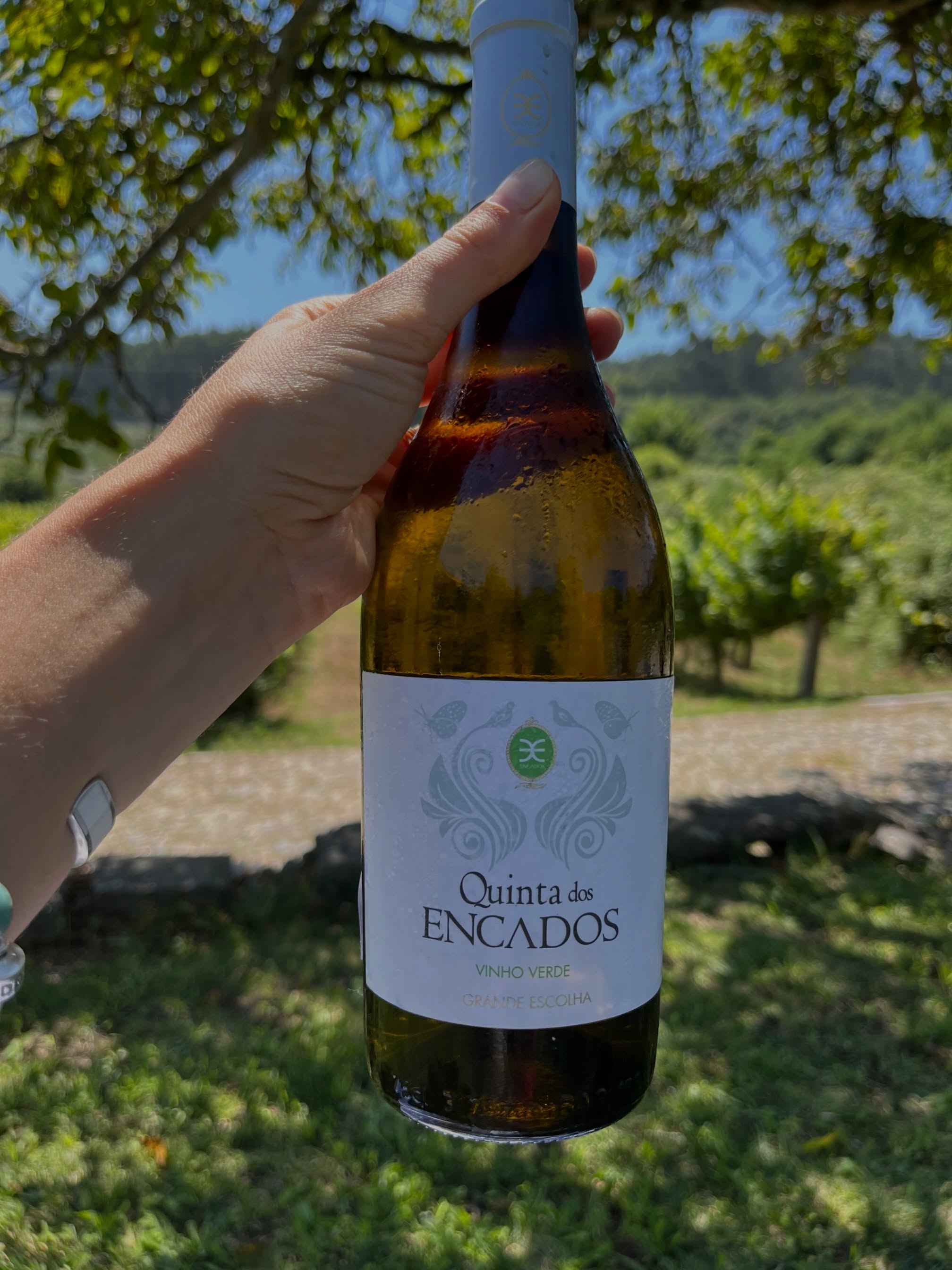 A qualidade não se explica, sente-se em cada garrafa. E quando é avaliada pelos palatos mais exigentes do mundo, o resultado honra-nos profundamente. 🍇
O nosso Grande Escolha foi distinguido no Concours Mondial de Bruxelles, uma das maiores e mais rigorosas competições vinícolas do mundo, com Medalha de Mérito. Esta distinção internacional reafirma o compromisso da Quinta dos Encados com a excelência, elevando o nome da nossa região vinicola e de Guimarães ao topo da viticultura mundial.
Se já provou, sabe o motivo do prémio. Se ainda não conhece, convidamo-lo a celebrar connosco e a descobrir o paladar único do nosso blend. 🤍
__
EN
Quality doesn’t need explaining; it is felt in every single bottle. And when it is evaluated by the world’s most demanding palates, the result honors us deeply. 🍇
Our Grande Escolha was awarded the Medal of Merit at the Concours Mondial de Bruxelles, one of the largest and most rigorous wine competitions in the world. This international distinction reaffirms Quinta dos Encados commitment to excellence, raising the profile of our wine region and Guimarães to the forefront of global viticulture.
If you have already tasted it, you know the reason behind this award. If you haven’t yet, we invite you to celebrate with us and discover the unique flavor of our blend. 🤍
#QuintaDosEncados #VinhosPremiados #CMB2026 #PremiumWine #VinhoVerdeLoureiro