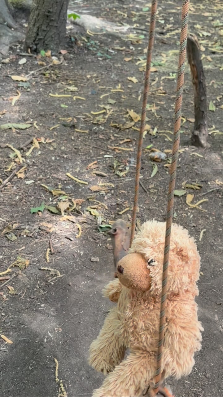 To celebrate the term coming to an end we had a very special teddy bear picnic in the forest 🌳 🧺
#forestschool #montessori #highgatewoods #highgatemums #eyfs