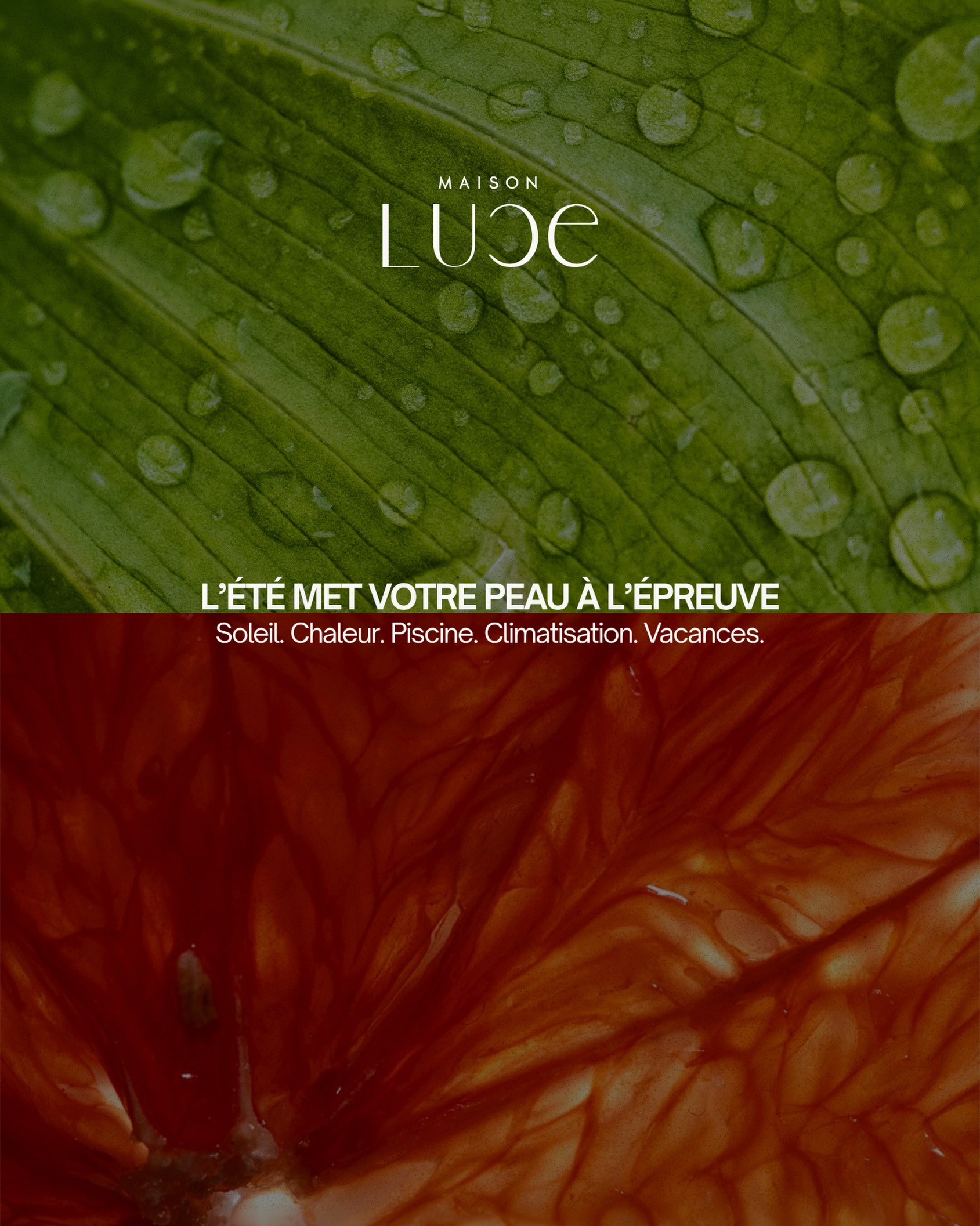 L’ÉTÉ ABÎME VOTRE PEAU PLUS VITE ☀️
Soleil, chaleur, piscine, climatisation… en été, la peau est plus exposée au stress oxydatif.
Résultat :
✔ déshydratation plus rapide
✔ taches plus visibles
✔ vieillissement cutané accéléré
Votre peau a besoin d’une routine légère, hydratante et riche en antioxydants.
Écrivez-nous ici pour votre routine d’été 🧡