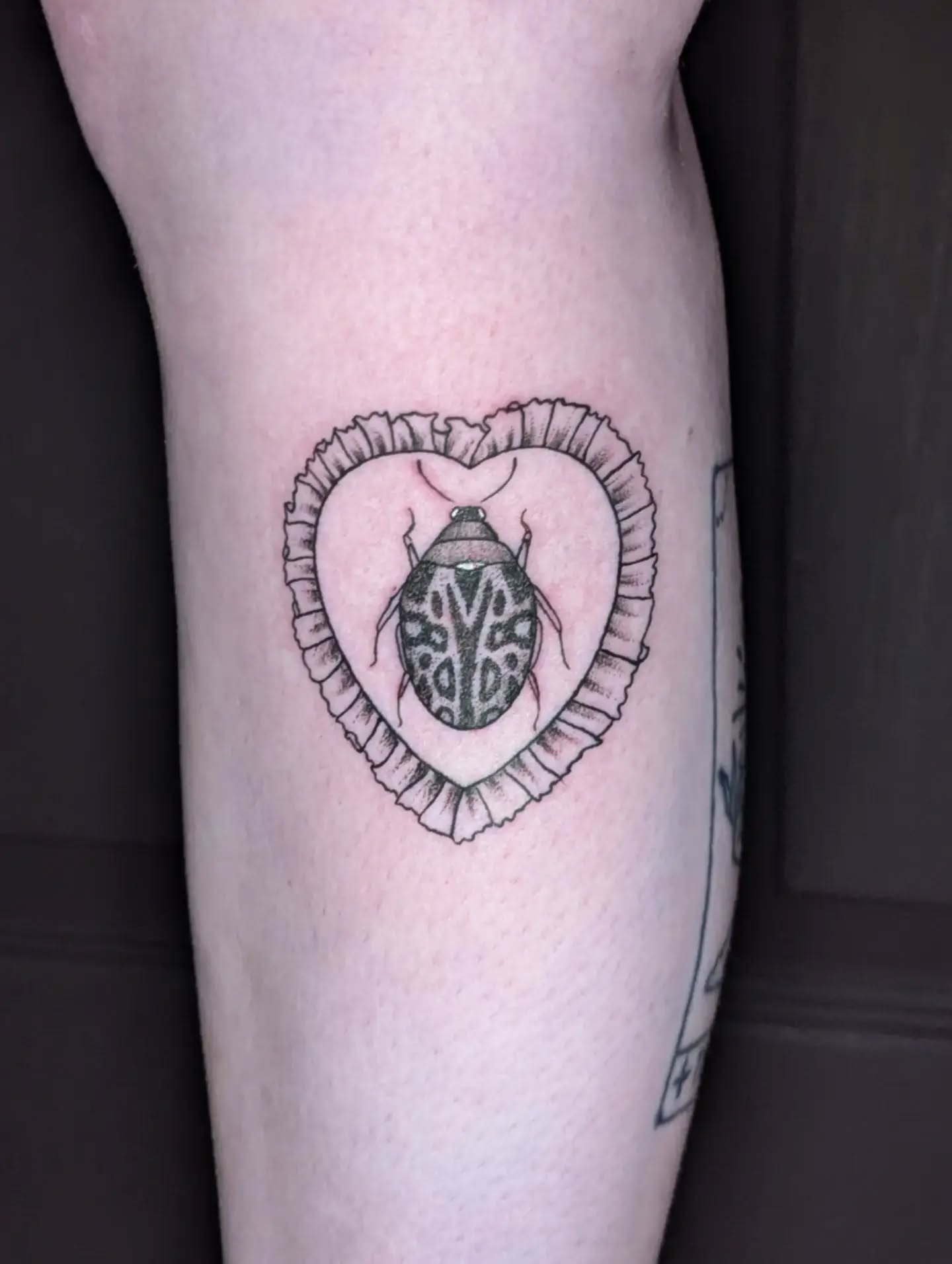🪲 bug frame for Mya 🪲
Thanks for choosing this lil guy from my flash! So lovely to catch up🥹 Mya has around 10 tattoos by me, thanks for supporting me since the beginning when I first started taking clients 🫶 I appreciate the trust and I love catching up 💖
Mya has her own pet care business @pawfectdaywithmya
Dog walking, cat care! Livingston and surrounding area, she is really passionate and cares about the animals so much 🐕 🐈
I have some spaces left in July, booking until end of October at the moment ✨ to make an enquiry fill in the form in my bio and I'll get back to you soon, or email me at booking@ericattattoo.com
Also I will be at the Midnight Solar Market on 27th July at Le Monde 5pm- midnight, selling prints and crafts 💖
Newcastle - guesting at @wildwood_tattoostudio owned by @uprooted_ink on 17th-18th September (17th fully booked)
#edinburghtattoostudio #edinburghtattoo #tattooedinburgh #bugtattoo #illustrativeblackwork