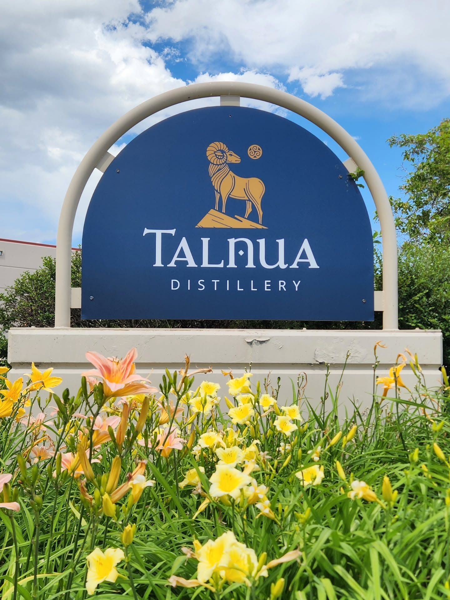 It's looking like a beautiful start to the 250th birthday of the USA! Fresh off a Team USA win last night in the World Cup! Come grab your 20% off bottles for the holiday weekend! 🥃🐏🇺🇸🦅