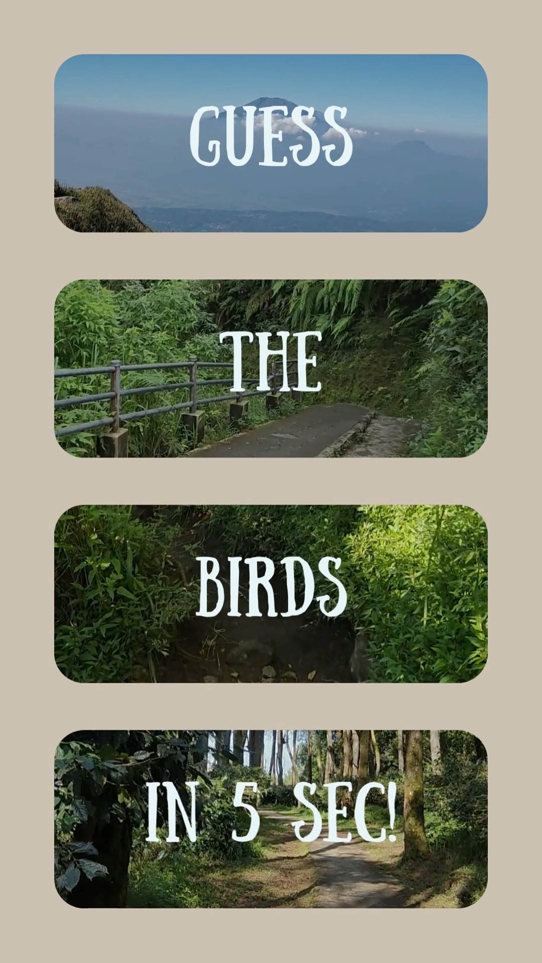 Nature’s finest vocalists are taking the stage! 🪶
From complex melodies to signature trills, how well do you know your songbirds? Turn up the volume and see if you can identify the artists behind these tracks.🎶
#songbird #birdlover #nature #birdwatching #wildlife