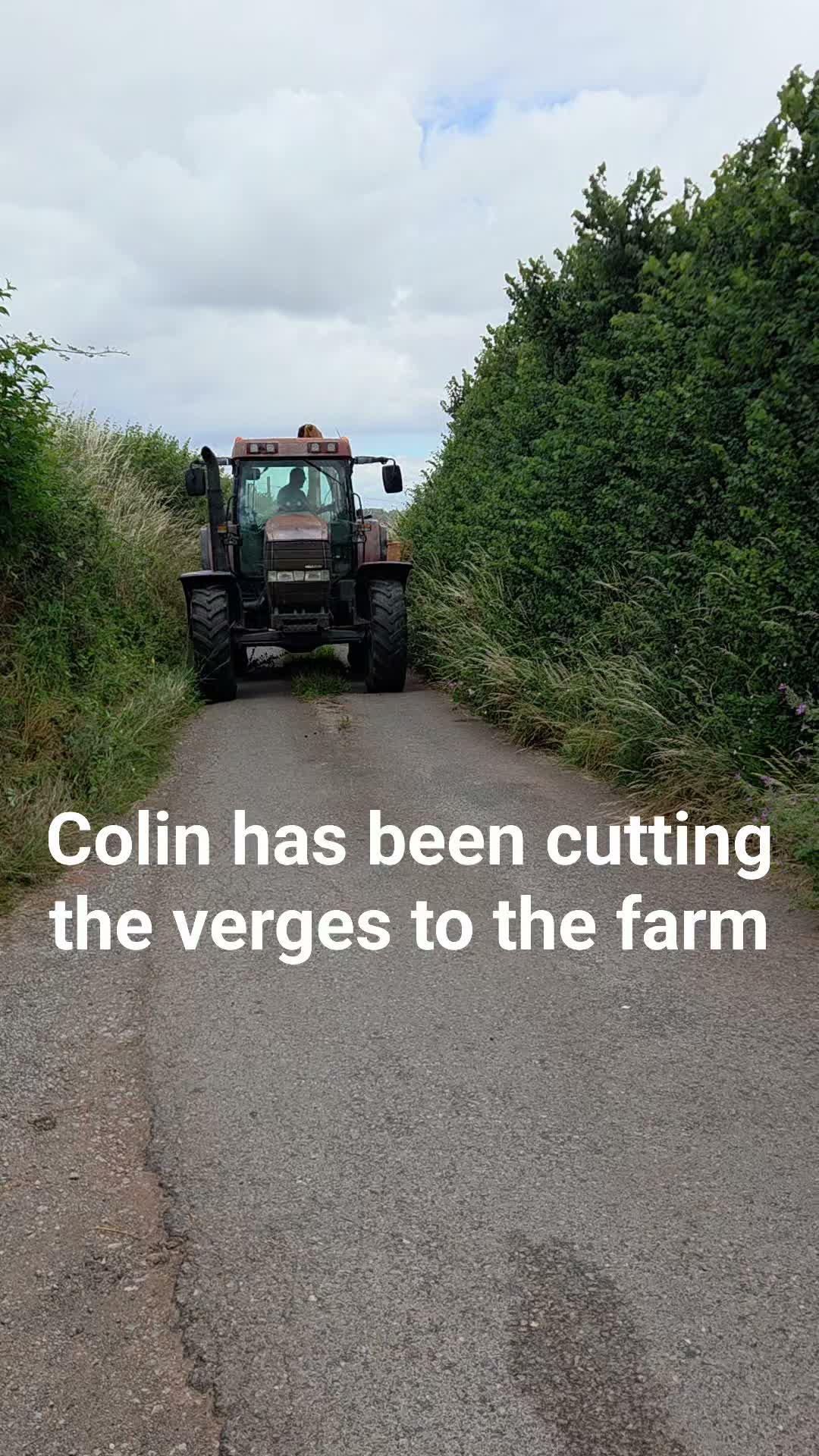 Colin has been cutting the verges into the farm as it was getting difficult so see when driving in. The council has also cit Charlynch lane so its nice and easy ro get to us