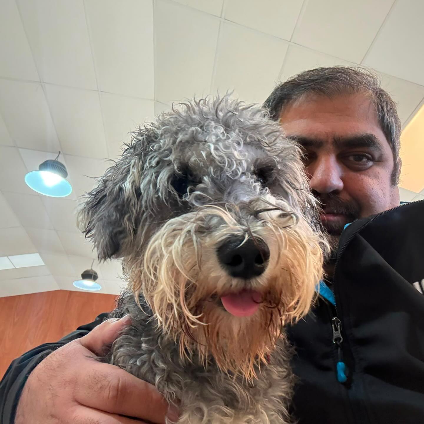 Friday cuteness 🥰🐾🐶💛
.
.
.
.
.
.
#dogs #dogcuteness #dogdaycare #dogsofauckland