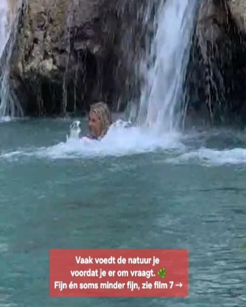 𝗕𝗼𝘂𝘄 𝗷𝗲 𝘄𝗲𝗯. 𝗩𝗲𝗿𝘁𝗿𝗼𝘂𝘄 𝗱𝗲 𝗿𝗲𝘀𝘁.🕸️
Een week vol natuur: van waterval tot kasteel, van handstand tot vastzittend wiel. En een briefje onder de ruitenwisser dat alles samenvat.
Zaterdag #6 van VOEDING: de N van NATUUR. 🌿
Schuif je aan? Link in bio.
#voeding #yogaonline #yogametsuus #natuur
