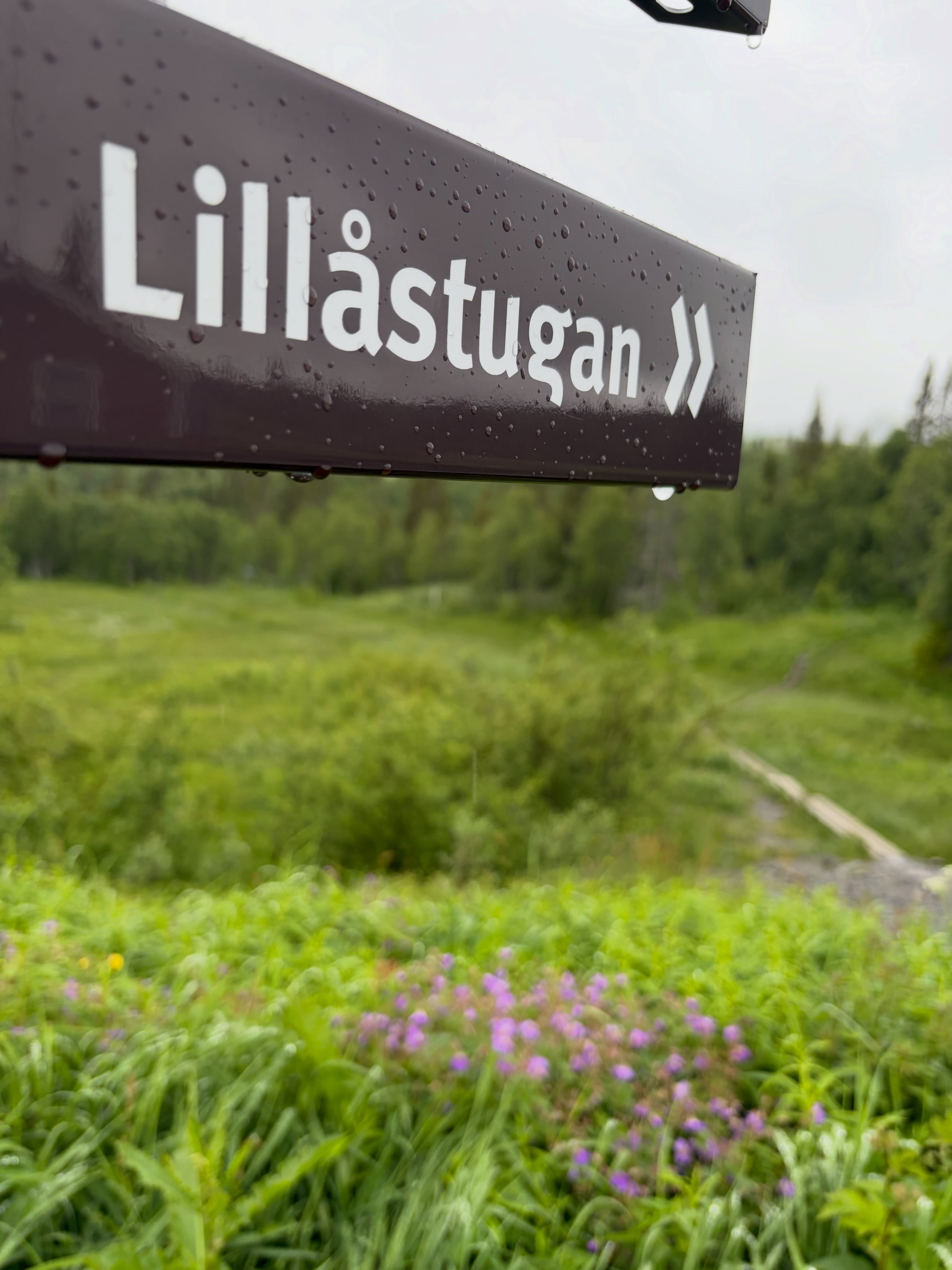 Från Ullådalsparkeringen vandrar du på spänger i underbara Ullådalen ca två kilometer tills du når Lillåstugan. Följ skyltarna från parkeringen.
Från Duved och Tegefjäll finns vandringsled 203/204 som tar dig till Lillåstugan. Här kan du även vandra Mullfjället runt, eller till Mullfjällets topp.
Väl framme finns kokkaffe, choklad, kalla drycker, söta & matiga våfflor, soppa, smörgås, bullar och bakverk, vi bakar och lagar det som serveras i stugan med så hållbara och lokala råvaror som möjligt.
Varmt välkommen 😊 även våra fyrbenta vänner är välkomna in i stugan.
fredag - söndag kl. 11.00 - 15.00.
⛰️☕️❤️🧇