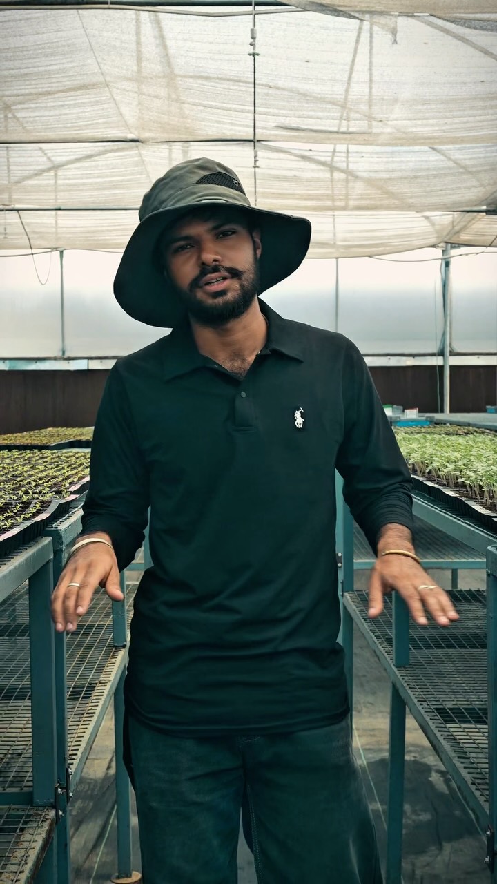 Corporate? Nah. We’re just planting greatness with main-character energy. 🌱😎
Some people clock in. We show up in cinematic mode. 🎬✨
#BiocarveSeeds #WorkVibes #OfficeTrend #BehindTheScenes #SeedLife