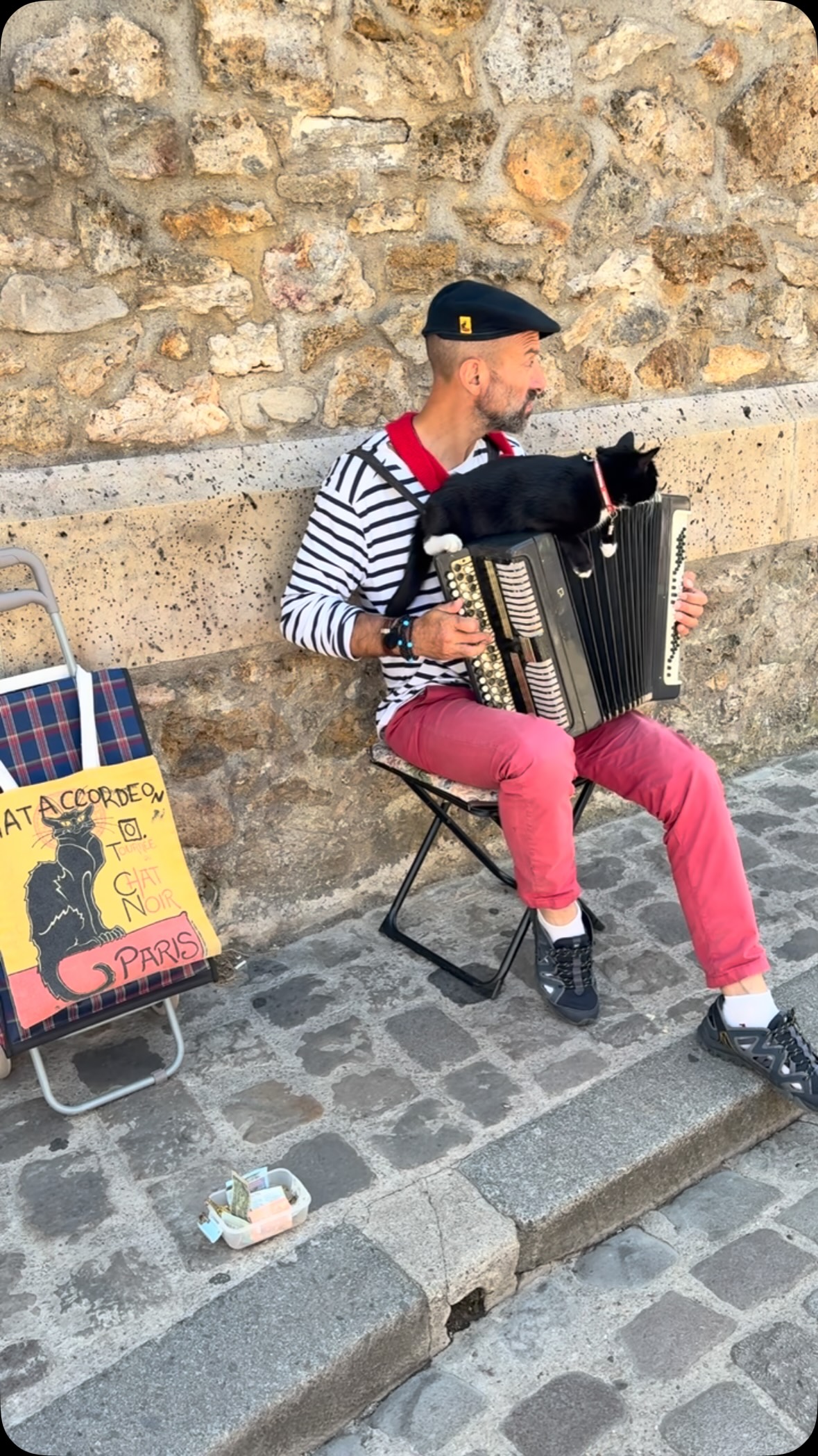 I liked Paris before, but this scene, with the cat on an accordion in Monmartre, has made me fall in love!