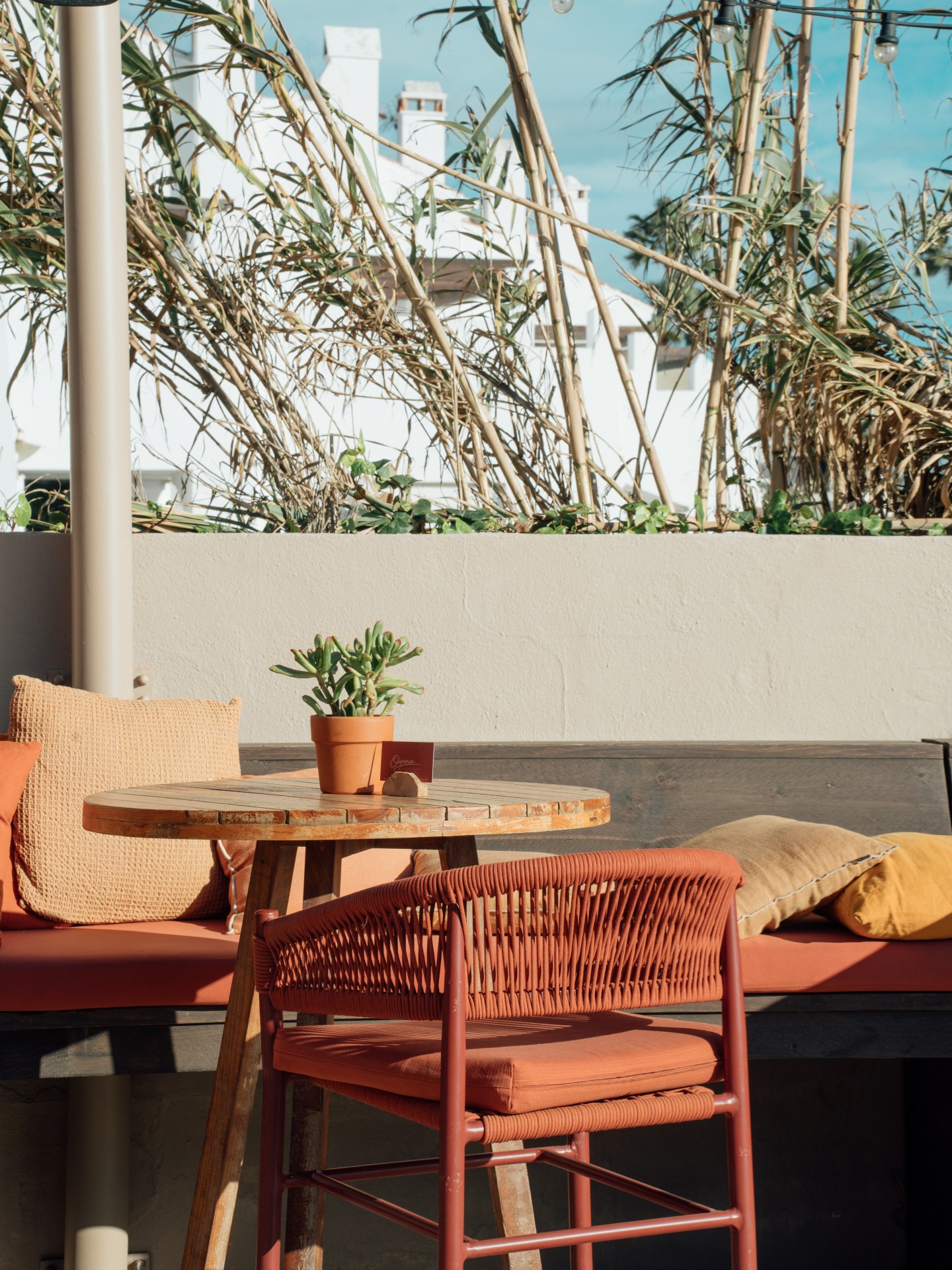 Warm tones, soft textures, and that cozy Oyana charm πΎπ§‘
Every corner is designed to make you feel welcome, perfect for a relaxed lunch, a casual drink, or just letting time slow down.
Take a seat, make it yours.
#MorningGoals #oyanabeach #oyanabeachrestaurant #marbellarestaurant #marbelladining #marbellabest #marbellaforlife #marbellaeast #oyanafood #experienceoyana #foodexperience #timetoslowdown