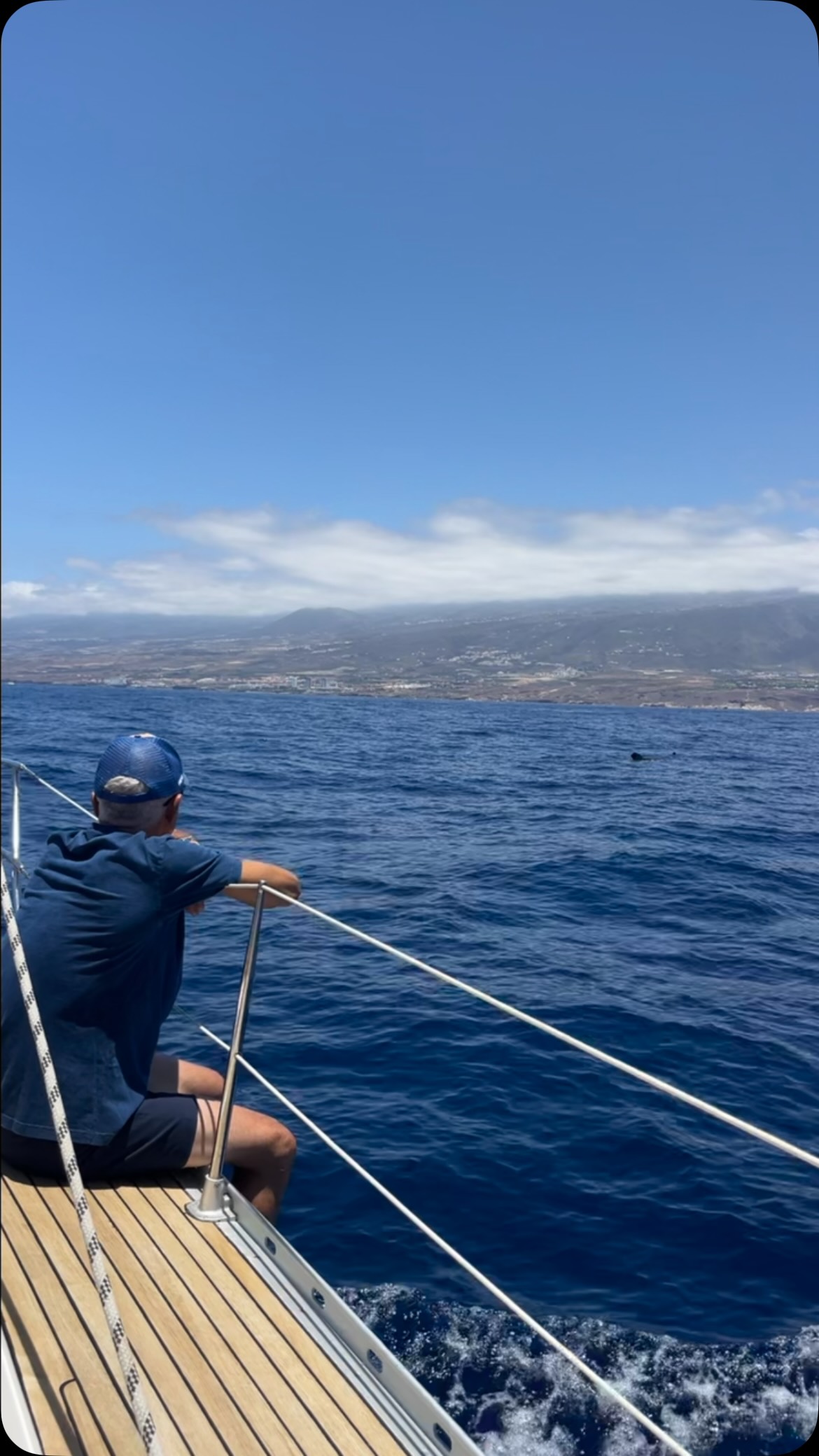 ☀️ ¿Sin planes para este verano?
Reúne a tu familia o a tus amigos y disfruta de un chárter privado inolvidable. ⛵💙
🐬 Observa ballenas y delfines en su hábitat natural.
🏖️ Date un refrescante baño en una playa o cala paradisíaca.
🥂 Relájate mientras nuestra tripulación se ocupa de todo y disfruta de un refrigerio a bordo.
✨ Crea recuerdos que durarán para siempre.
📩 Reserva tu experiencia privada hoy: www.bluejacksail.com
#Tenerife #PrivateCharter #Sailing #WhaleWatching #LuxuryExperience BlueJackSail
