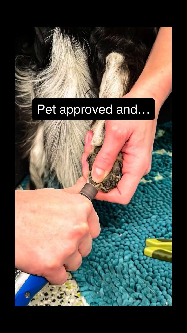 Today was nail-trim day and we love partnering with @fetchingfurballs !
Our trusted nail‑trim specialist works closely with Viva Pets to bring gentle, stress‑free paw care to your furry family members. She’s fully booked for this month, but you can sign up at Viva Pets to be added to her next session list.
Swing by the store, chat with our team, and secure your spot for her upcoming visit.
Your pet’s paws will thank you.
#yegcats #yegpets #yegdogs #yeg #nailtrim