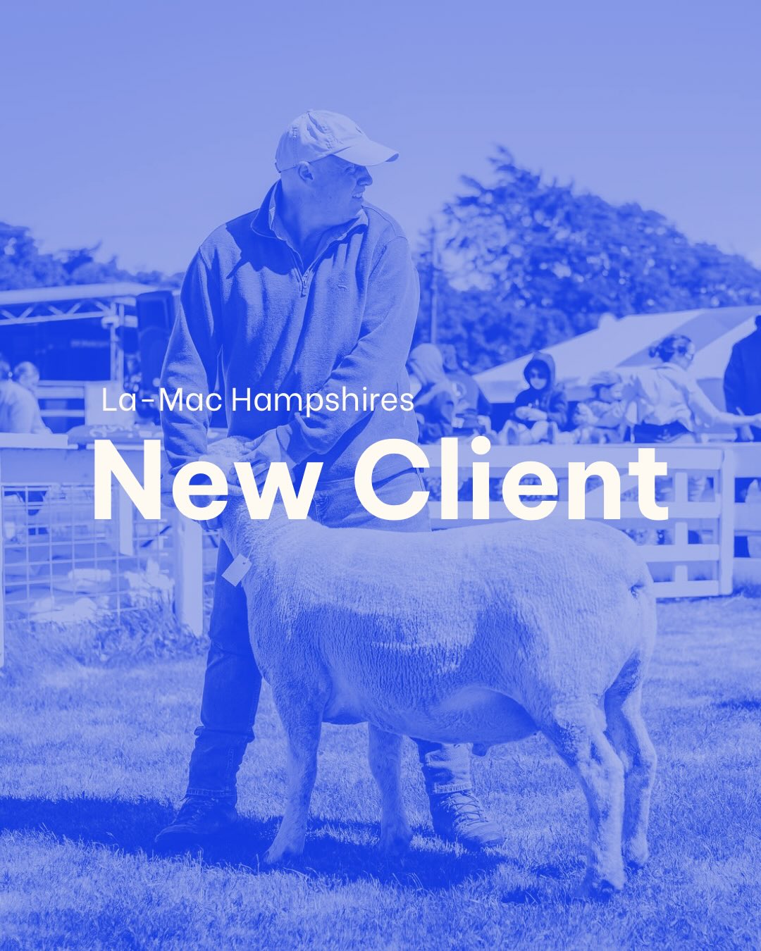 We are seriously looking forward to bringing the amazing @lamachampshires new brand identity to life over the coming weeks! ⚡️
Based in Christchurch in Tai Tapu, their stud produce award-winning rams and we are thrilled to be partnered with them to refresh their exisiting logo into a premium and timeless brand.
More coming soon! 🐏 👀