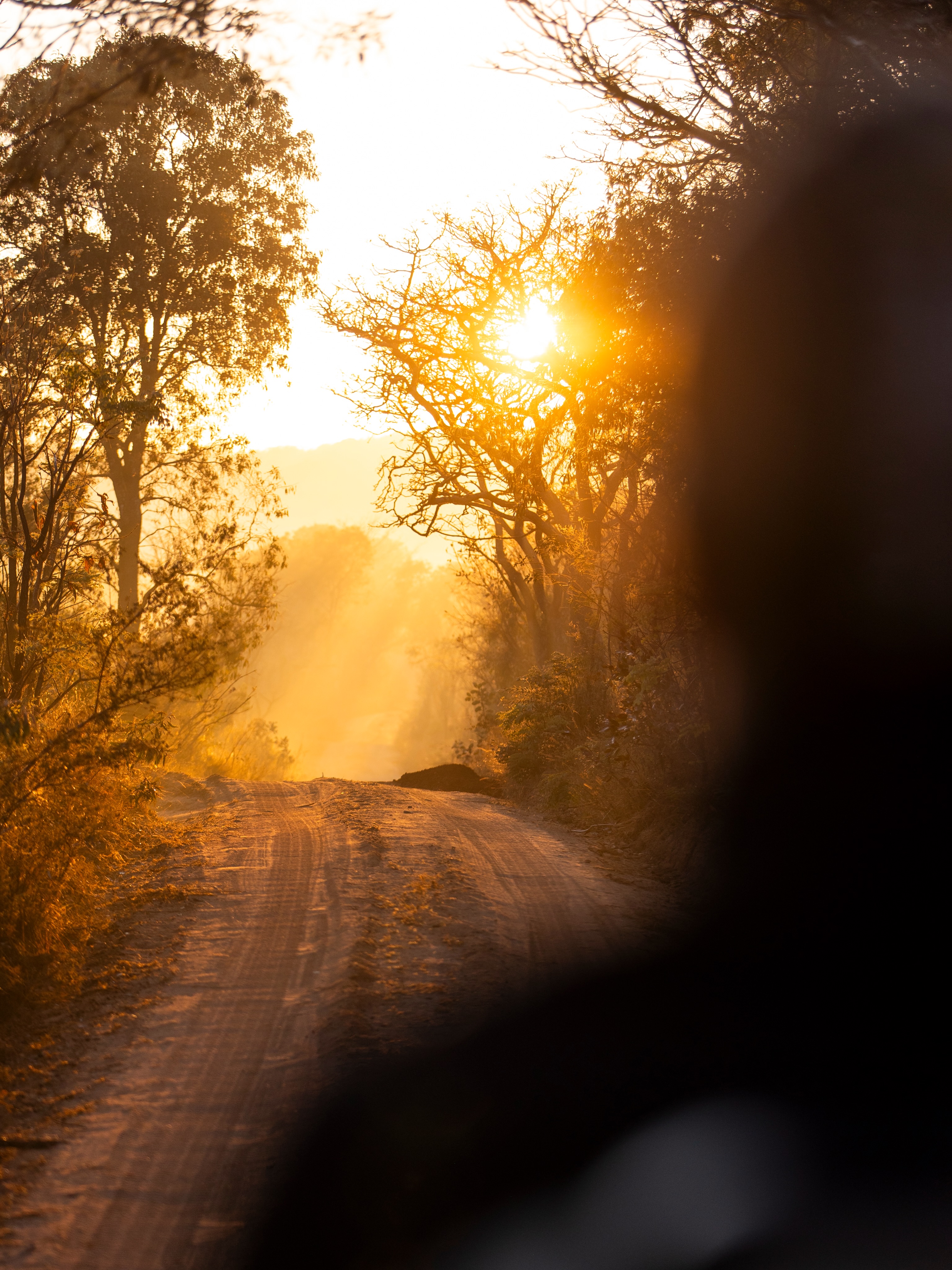 Sunrise Game Drive Feels 🌅🐾
An early morning game drive at Mhondoro Safari Lodge truly felt like something out of a movie 😍