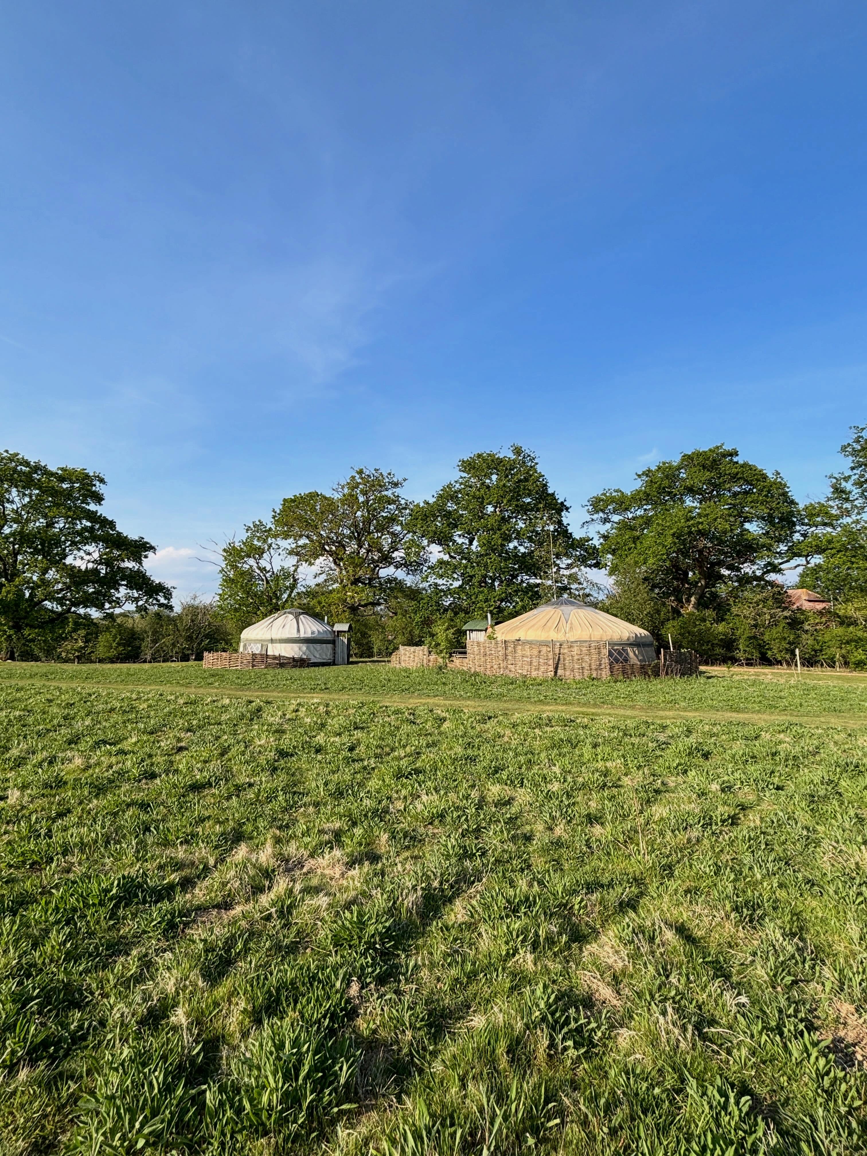 Re-wild Yourself, Resting in Nature on a Weekend Camping Yoga Retreat at Knepp Safari and the Yoga Garden 🏕️🧘🌳
28th - 30th August 2026 - 2 Nights
with Rebecca Oura
Come and spend the whole weekend in nature’s spa, practising yoga in the yurt at the Yoga Garden and camping under the stars at Knepp Safari.
Settling and grounding, resting in nature, a whole weekend of yoga, meditation, walking and wild swimming.
This nuturing weekend includes two nights’ camping with access to the fabulous campsite facilities, inspirational nutritious meals and refreshments, six sessions of yoga and meditation in the beautiful yurt at the Yoga Garden, an evening soundbath and a morning sauna. Just bring your tent and bedding.