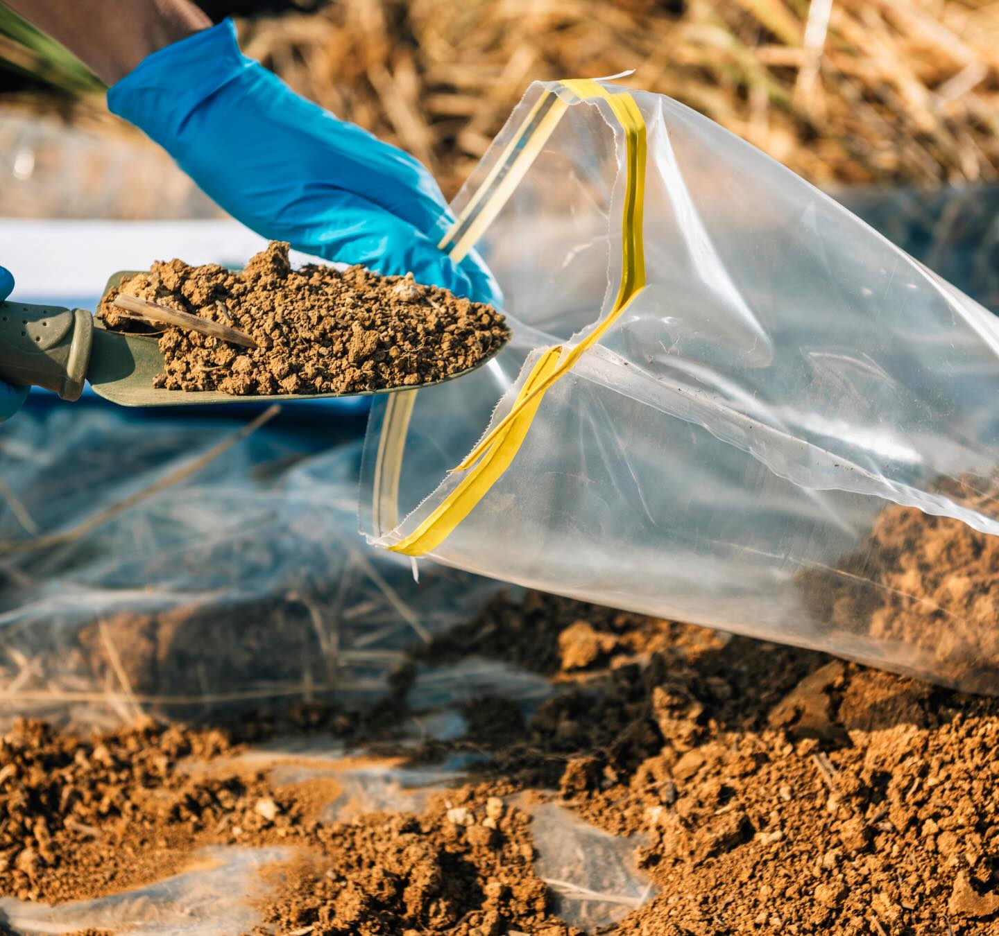☀️ Summer is the perfect time to check what’s happening beneath your feet.
Whether you’re growing vegetables, managing a garden, or planning autumn planting, a soil test gives you valuable insight into nutrient levels, pH, and soil health—helping you make smarter decisions and avoid unnecessary treatments.
Healthy soil starts with good data. 🌱
#SoilTesting #SoilHealth #Gardening #GrowSmart #SafeSoilUK