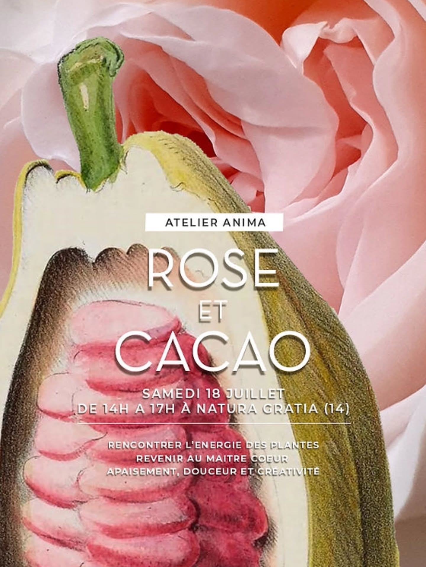 ATELIER ANIMA | Rencontre vibratoire de Cacao Sacré et de Rose
Samedi 18 juillet 2026 de 14h00 à 17h.
à Natura Gratia, Livarot-Pays-d'Auge (14)
Dégustation - reconnexion - guérison vibratoire.
Je vous invite à me retrouver pour un atelier Anima exceptionnel " Rose & Cacao", dans lequel vous rencontrerez la fréquence vibratoire du Cacao sacré, véritable médecine du silence, du cœur, de la bienveillance et de l'estime de soi et celle de la douce et puissante Rose.
Ces deux plantes maitresses, vous soutiendront dans votre volonté d'apaisement, de douceur. Elles favoriseront votre créativité et vous aideront réinventer vision de la vie, en conscience.
De 14h à 17h, nous vivrons ensemble un temps de reliance, de rencontre et de voyage intérieur avec l'énergie du Cacao cérémoniel et des roses de Damas de Natura Gratia.
Leur extraordinaire synergie oeuvre sur la reconnexion au Coeur et à la confiance par l'apaisement, la présence, la douceur et l'estime de soi. Elles favorisent la créativité.
Je vous guiderai dans ce voyage à la découverte de ces deux plantes exceptionnelles et de leur énergie.
7 places - 65 euros par personne.
Rendez-vous sur la boutique subtiles.net pour vivre ce moment de grâce.
(Lien vers l'evenement en bio)
#cacaosacre #chantmedecine #rose #energiedesplantes #medecinevibratoire