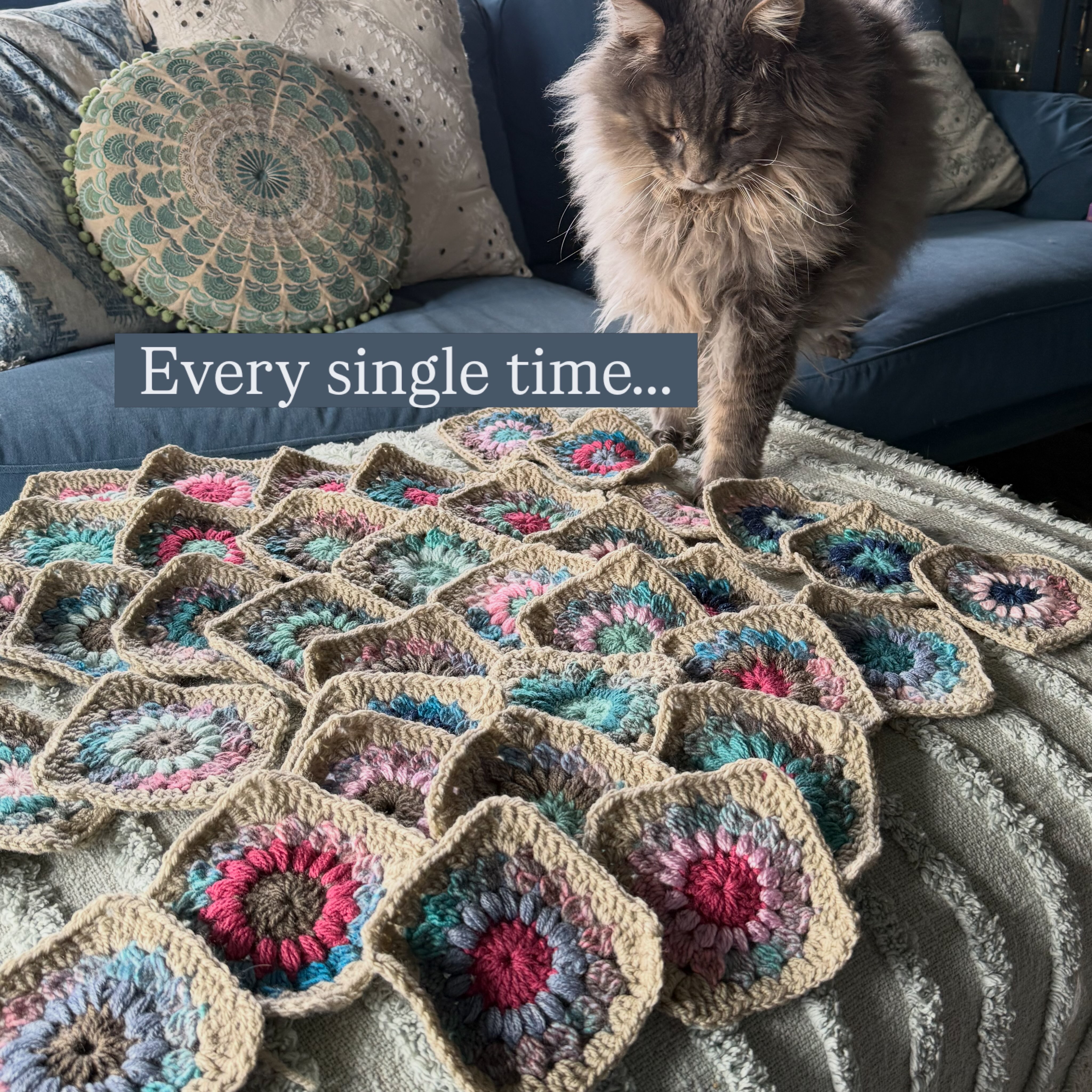 I have been trying for ages to take a photo of all of my squares so I can catalogue my progress, but this is what happens every single time I get them out. I’m literally going to have to borrow somebody else’s house to lay them down because Mojo is obsessed!
This little blanket is supposed to be for me, but I don’t think it’s going to be somehow. It’s almost half done but I have so many projects going at once right now it slow going!
#grannysquares #crochetersofig #witchyhobbies #inmysparetime #maincoonstagram