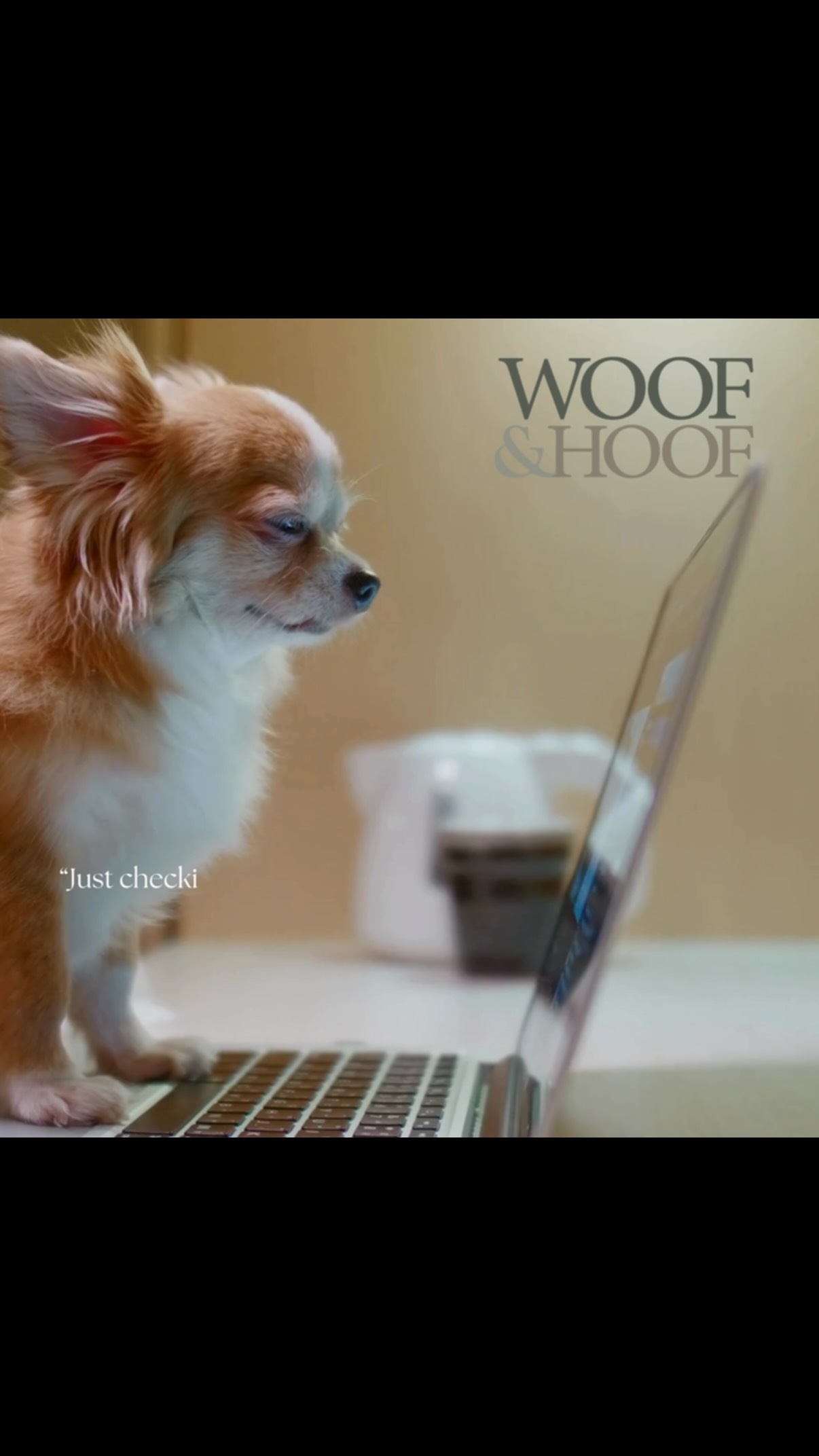 Dogs don’t need a reason to treat themselves. Give your dog the gift of relaxation and improved mobility with a myofunctional therapy treatment with Minda from Woof&Hoof.
Book now at https://www.woofandhoof.com.au/myofunctional-therapy
#dogmassage #caninemassage #caninemassagetherapy #cranialsacraltherapy #energyhealing