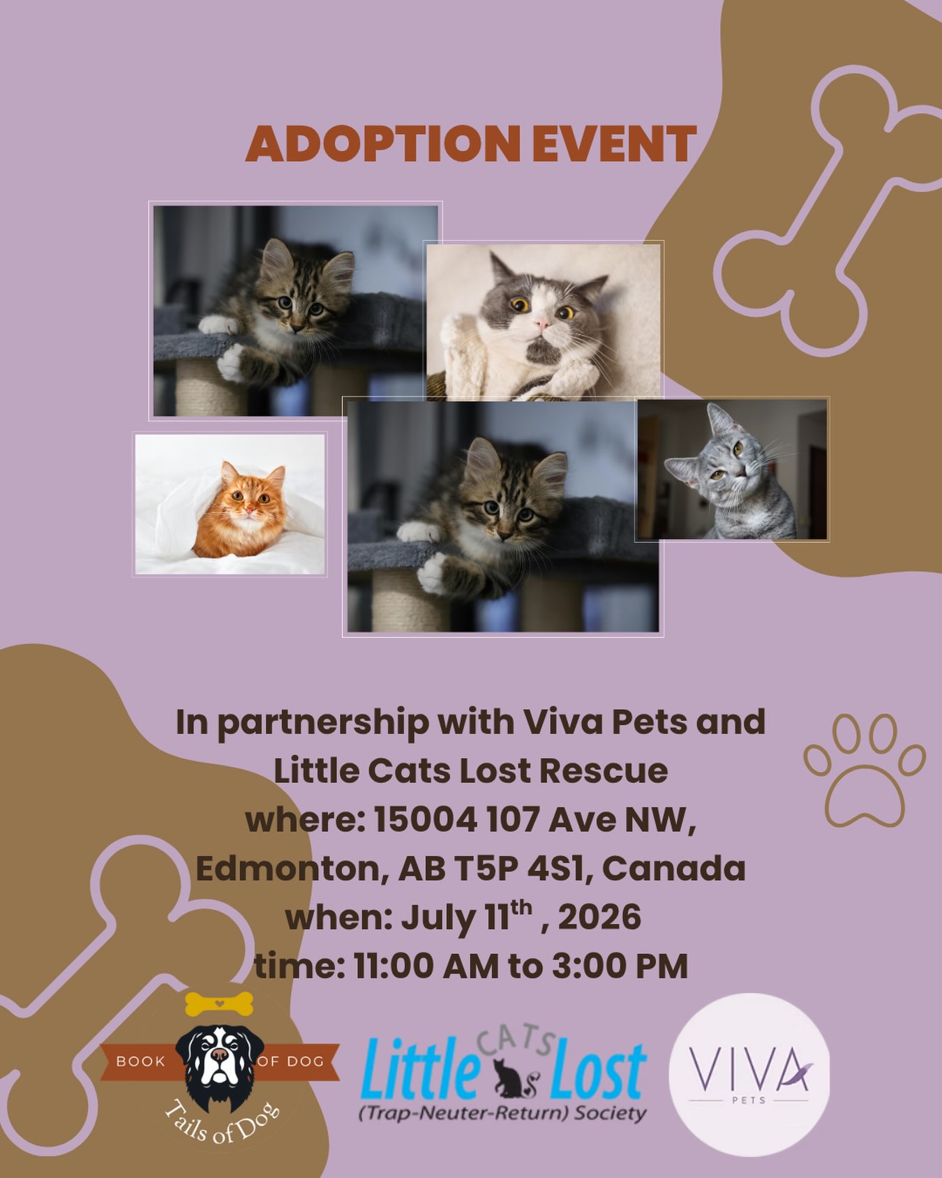 3 DAYS LEFT!
This Saturday, Viva Pets is hosting a cat adoption event with Little Cats Lost Rescue — and we’ve added something special for the kiddos.
🖍️ Kids can colour a Welcome Home card that will go home with each adopted cat.
A small gesture, a big moment.
📅 July 11 • 11–3 PM
📍 15004 107 Ave NW
#adoptdontshop #yeg #yegcat #yegpets #yegpetrescue