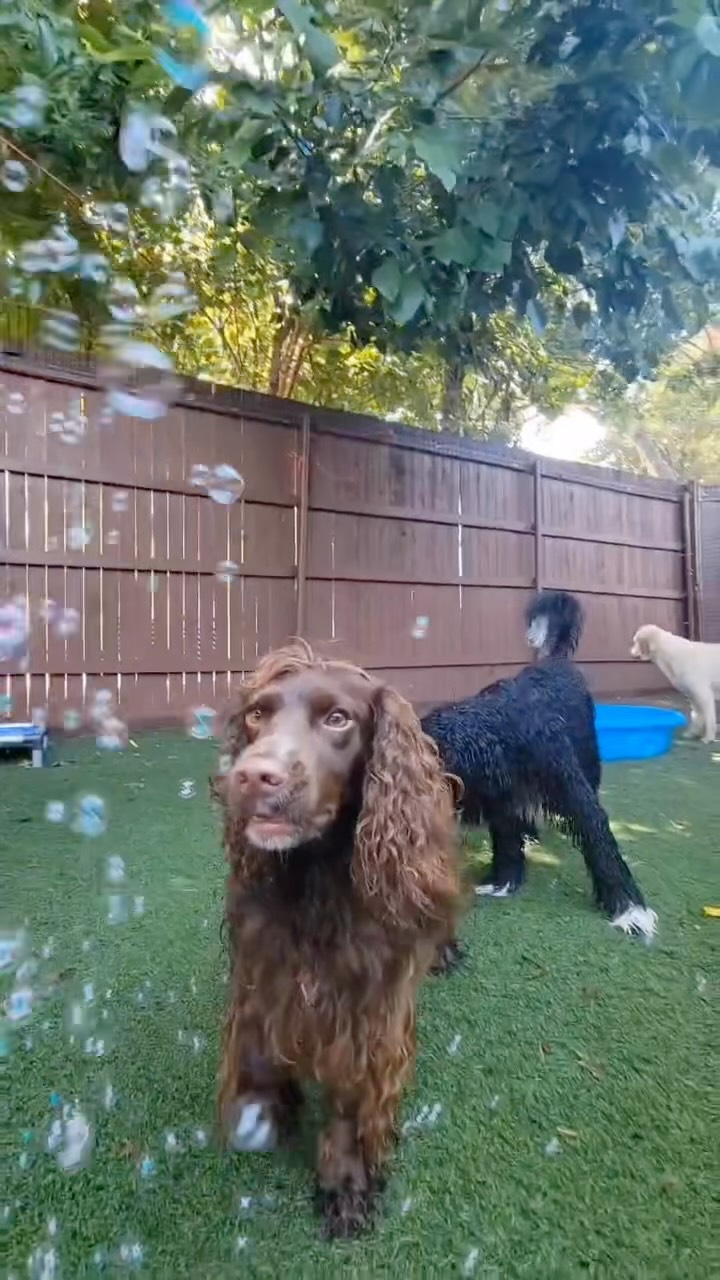 Tuesday’s are better at daycare!