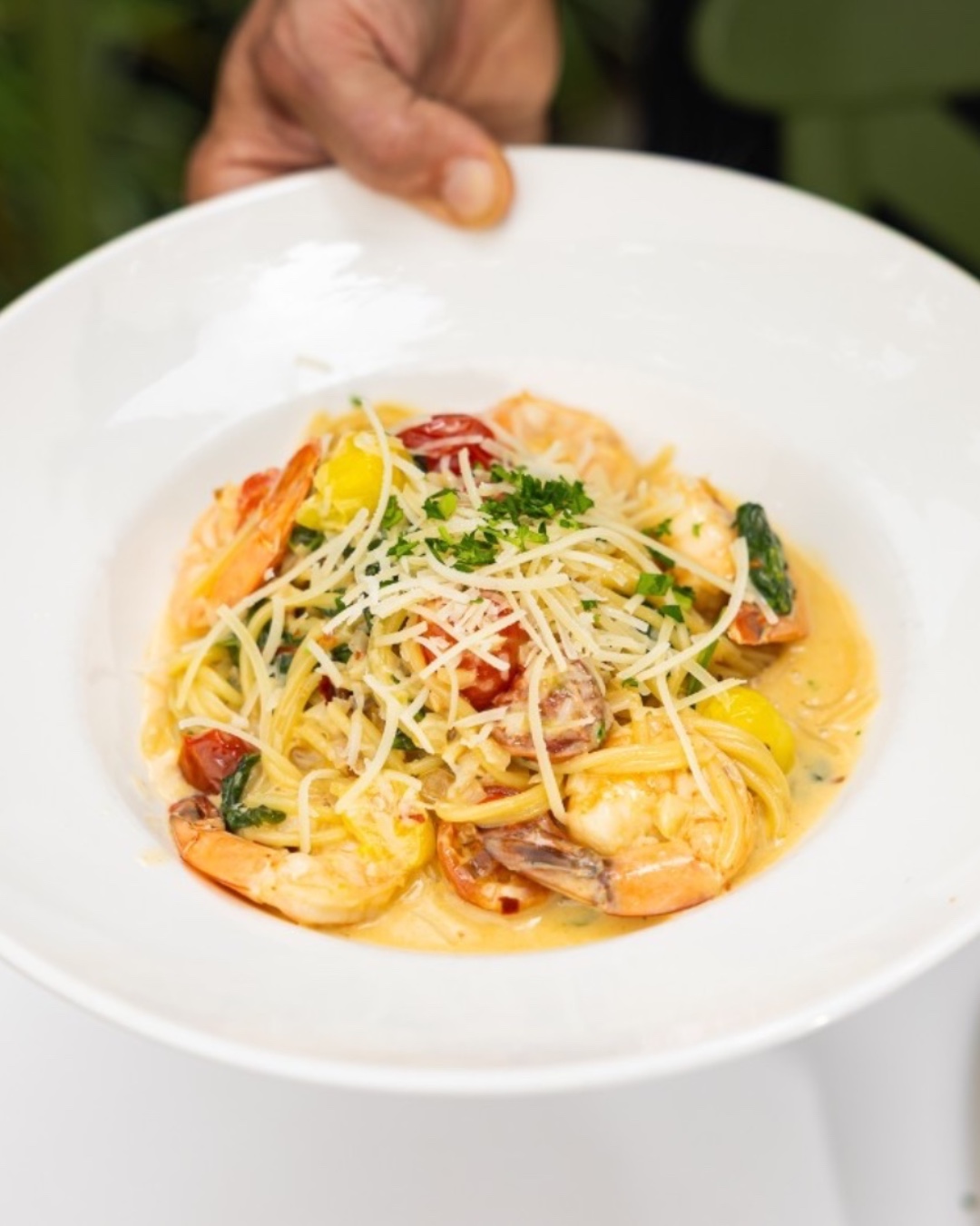 enjoy a classic favorite with our shrimp scampi!served over spaghetti with juicy cherry tomatoes....