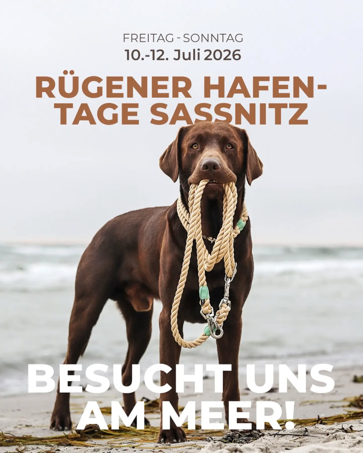 ⚓️🌊 𝗕𝗲𝘀𝘂𝗰𝗵𝘁 𝘂𝗻𝘀 𝗮𝘂𝗳 𝗱𝗲𝗿 𝗢𝘀𝘁𝘀𝗲𝗲𝗶𝗻𝘀𝗲𝗹 𝗥ü𝗴𝗲𝗻 🏝️🐕
Und wieder zieht es uns direkt ans Meer: Besucht uns auf den 𝗥ü𝗴𝗲𝗻𝗲𝗿 𝗛𝗮𝗳𝗲𝗻𝘁𝗮𝗴𝗲𝗻 𝗶𝗻 𝗦𝗮𝘀𝘀𝗻𝗶𝘁𝘇 – direkt am Hafen, drei herrliche Sommertage an der Ostsee. Und nur wenige Kilometer vom Nationalpark Jasmund entfernt – ein traumhaftes Wandergebiet für eure Hunde!
Der Wetterbericht verspricht wieder viel Sonne 😎☀️
𝗪𝗮𝗻𝗻 & 𝗪𝗼?
10.-12. Juli 2026
Fr: 14-21 Uhr | Sa/So: 10–22 Uhr
Sassnitz auf Rügen – Stadthafen & Strandpromenade
𝗪𝗮𝘀 𝗲𝘂𝗰𝗵 𝗲𝗿𝘄𝗮𝗿𝘁𝗲𝘁:
👉️ viele handgefertigte Tauleinen & Halsbänder
👉️ entspannt schauen, testen & beraten lassen
👉️ Live-Fertigung des Halsbands passend zur Leine
👉️ Meer, Sonne & gute Laune inklusive
𝗦𝗽𝗲𝘇𝗶𝗮𝗹𝘄ü𝗻𝘀𝗰𝗵𝗲?
Meldet euch jetzt, damit wir sie für euch mitbringen können.
Wir freuen uns riesig auf euch!
#hundeaufrügen #ostseehund #inselhunde #mithundammeer #allesaustau
