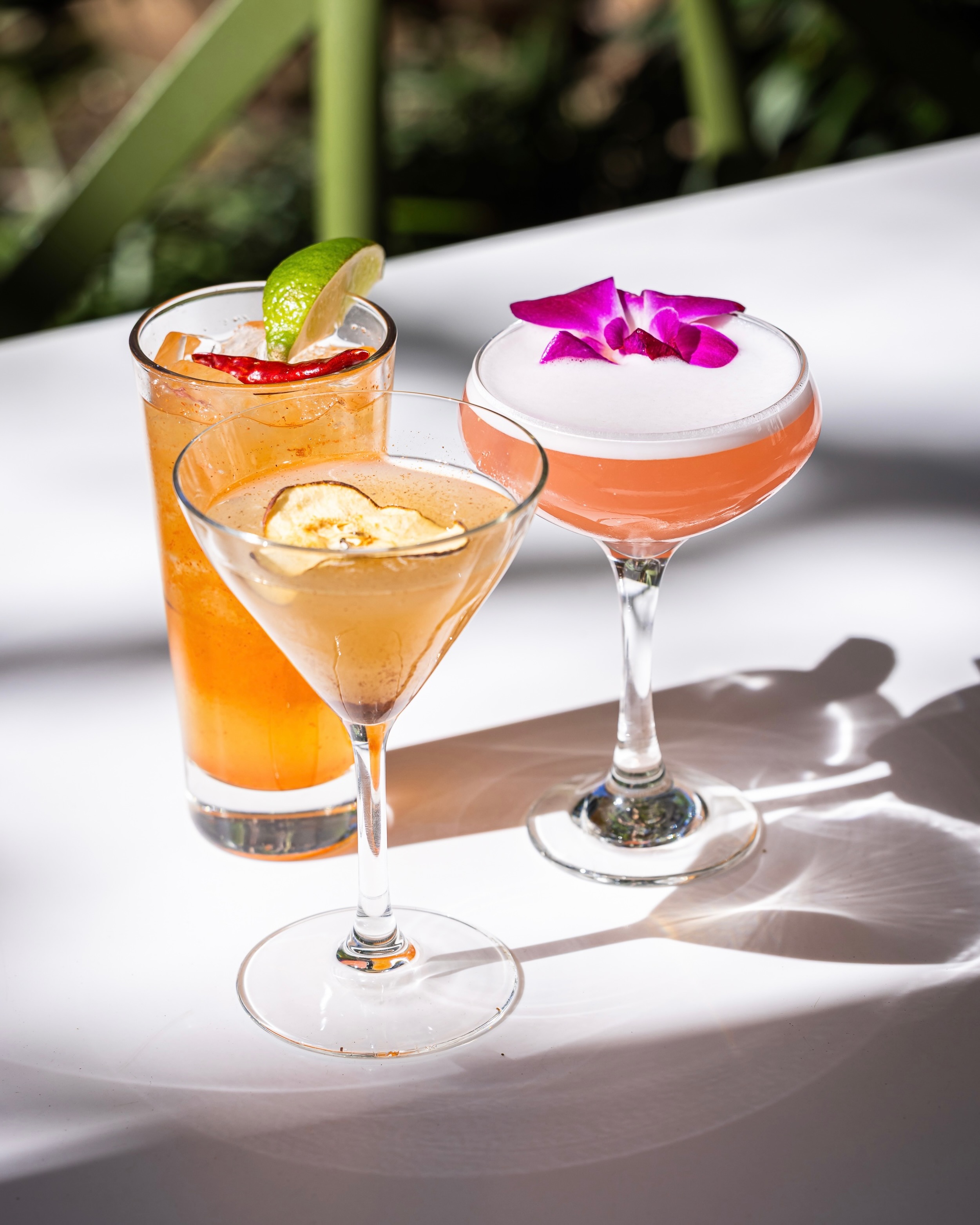 cool off with our refreshing summer cocktails and mocktails! crafted with bright, seasonal flavo....