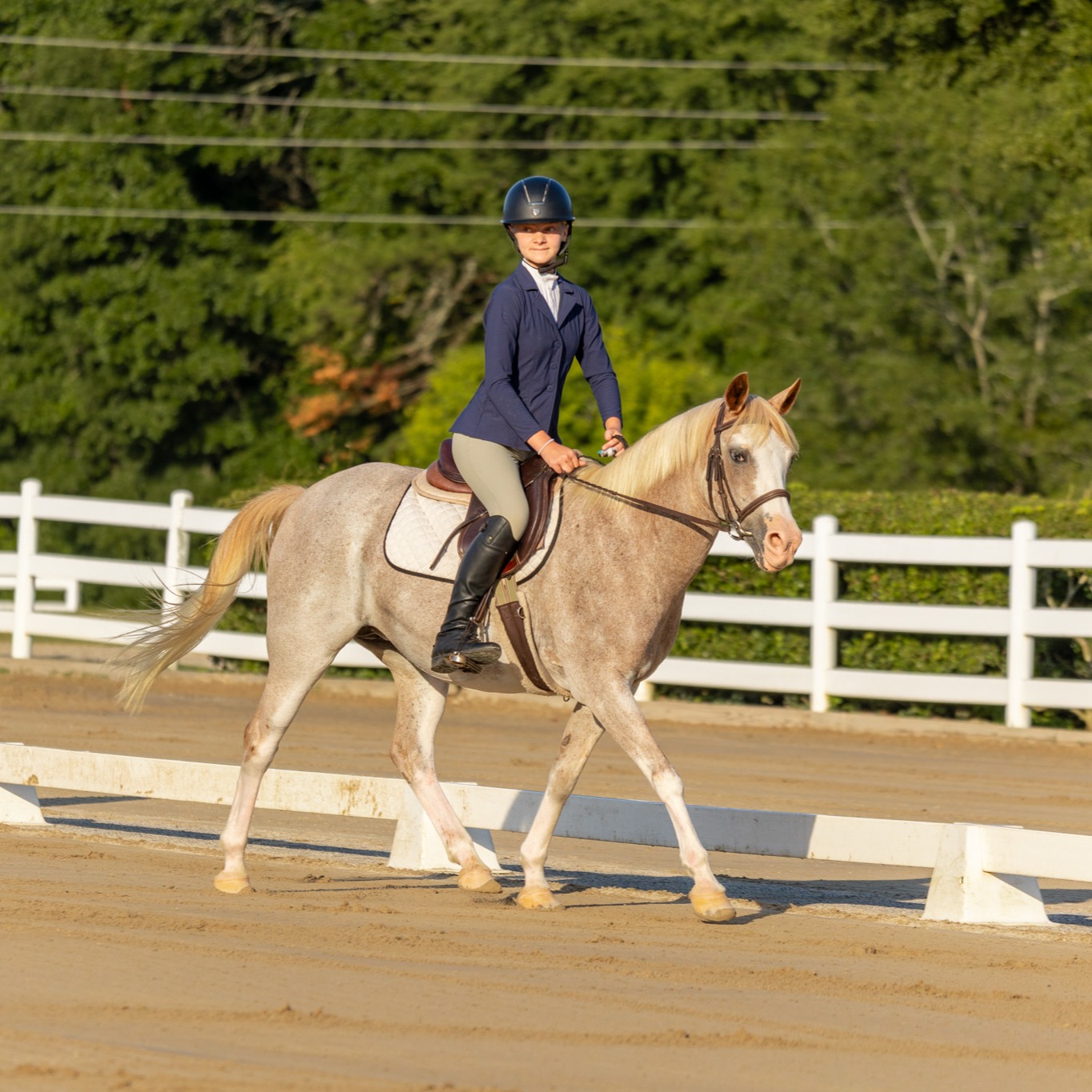 July's AYDC photos are now up!
