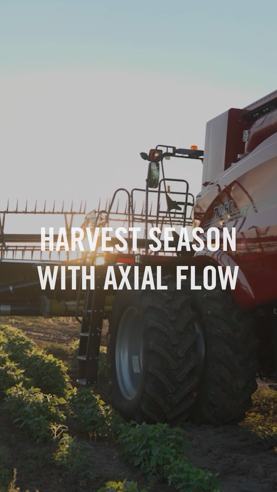 Harvest Season with Axial Flow! The red power keeps moving.