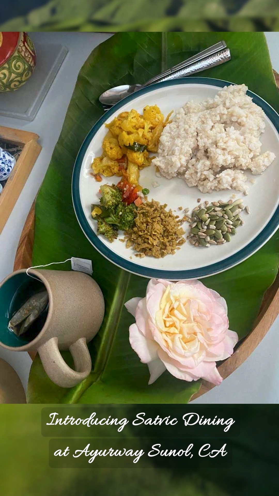 True healing starts on the plate.
We are so excited to introduce Satvic Dining at our Ayurway Sunol, CA location! 🌿🍽️
Every dish is freshly prepared daily, prana-rich, and crafted to perfectly complement your Ayurvedic treatments. Nourish your body, balance your mind, and experience the true power of food as medicine.
Book your therapy today and nourish your journey.
#Ayurway #AyurwaySunol #SatvicDining #AyurvedicFood #PranaRich #HolisticHealing #BayAreaWellness #SunolCA #AyurvedaLife #FoodAsMedicine #SatvicDiet #NourishYourJourney