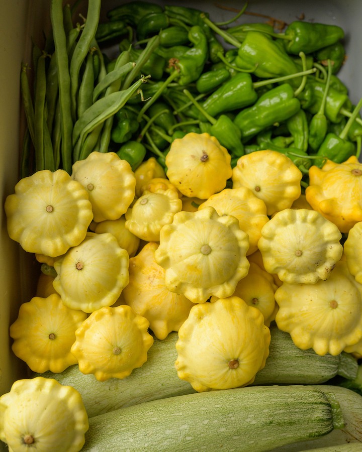 🌱 Our July newsletter is here!
See what our member farms have been up to this summer, from hands-on workshops and farm dinners to new ways they're strengthening local food systems and connecting with their communities.
Plus:
🥫 Learn the basics of canning at our August workshop
🥔 A seasonal warm potato salad recipe featuring fresh arugula
Read the newsletter with the link in our bio.
#PNWCSA #CSA #CommunitySupportedAgriculture #EatLocal #SupportLocalFarms #OregonFarms #SeasonalEating #LocalFood #KnowYourFarmer #FoodCommunity
📷 Photo: @shawnlinehan