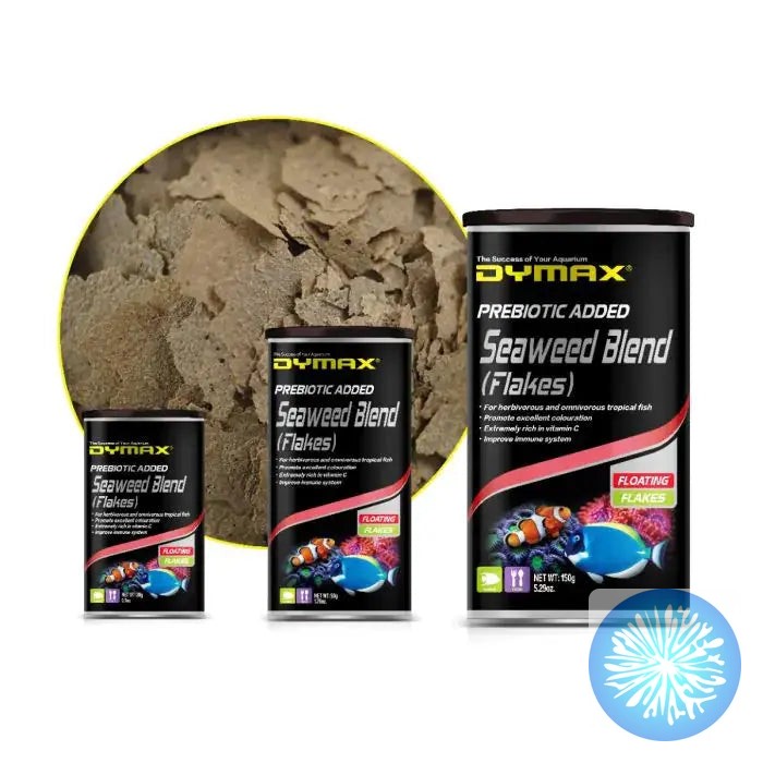 Ever wonder why some fish have brighter colors and more energy?
Dymax Seaweed Blend Flakes give your herbivores and omnivores the nutrients they crave. Packed with essential vitamins and minerals, these premium flakes float perfectly for easy feeding.
#FishFood #AquariumCare #HealthyFish #SeaweedFlakes #FreshwaterFish