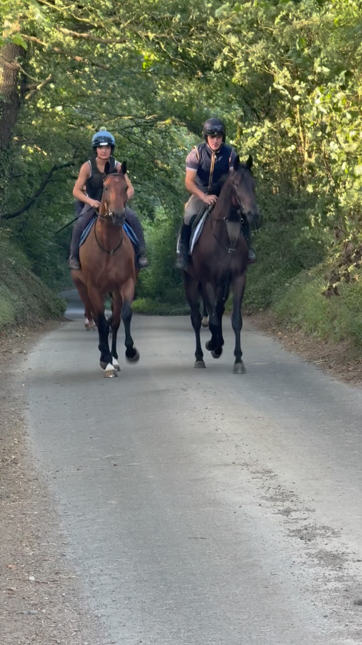 First day on the sand and trotting for our three year olds, purchased at the @goffs1866 sale and the @tattersalls.ie Derby Sale with @doyle_racing
An exciting bunch for the future! An amazing effort from our staff for breaking them in, and getting them to where they are.
Looking forward to the season ahead!
@coralofficial
@dodsonhorrell