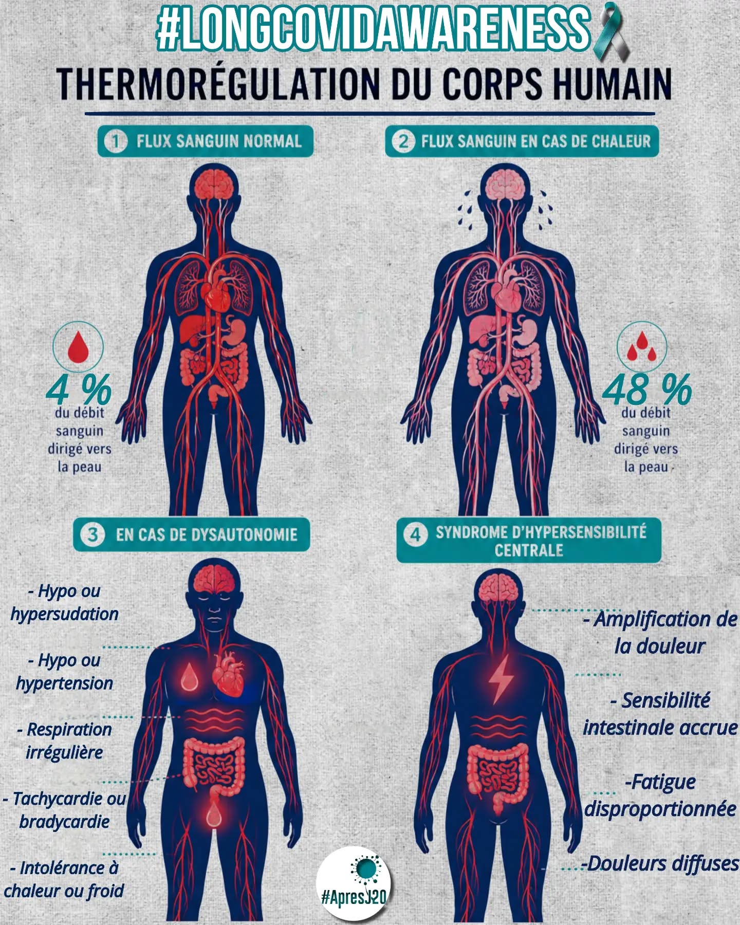 🧵#LongCovidAwareness 🌡️Chaleur, canicule et #CovidLong : pourquoi chacun réagit différemment.
L'été est souvent associé à une période de mieux-être.
Pourtant, lorsqu'on vit avec un #CovidLong, il n'existe pas de règle universelle. ⬇️
🧩 Certaines personnes voient leurs symptômes s'intensifier dès que les températures augmentent.
D'autres, au contraire, constatent une amélioration de leur état pendant les beaux jours, avant une dégradation à l'automne ou en hiver.
Ces expériences ne sont pas contradictoires : elles reflètent la diversité du #CovidLong 🎢
🫀 Chez certaines personnes, notamment en présence de dysautonomie ou de #POTS, la chaleur peut représenter un véritable défi.
Pour maintenir une température corporelle stable, l'organisme met en place plusieurs mécanismes : transpiration, dilatation des vaisseaux sanguins, augmentation du travail cardiovasculaire.
Lorsque ces mécanismes sont déjà perturbés, cela peut favoriser les vertiges, les malaises, l'intolérance orthostatique, le brouillard cérébral ou une fatigue accrue.
💊 La chaleur peut également modifier la façon dont notre organisme réagit à certains traitements.
Certains médicaments peuvent influencer la tension artérielle, la fréquence cardiaque, l'équilibre hydrique ou la transpiration, des fonctions essentielles pour s'adapter aux fortes températures.
C'est pourquoi il est important d'échanger avec son professionnel de santé en cas de difficultés lors des périodes de chaleur, sans jamais interrompre un traitement sans avis médical.
🌿 À l'inverse, certains patients constatent une amélioration de leurs symptômes au printemps et en été, tandis que d'autres connaissent une aggravation saisonnière.
Il n'existe pas un seul profil de patient, ni une seule évolution du CovidLong.
⚡ Au-delà de la température elle-même, chaque organisme réagit différemment aux contraintes du quotidien : effort, stress physiologique, infections, variations environnementales...
C'est aussi ce qui rend le CovidLong difficile à comprendre : derrière un même diagnostic se cachent des parcours très différents.
🤝 Comprendre