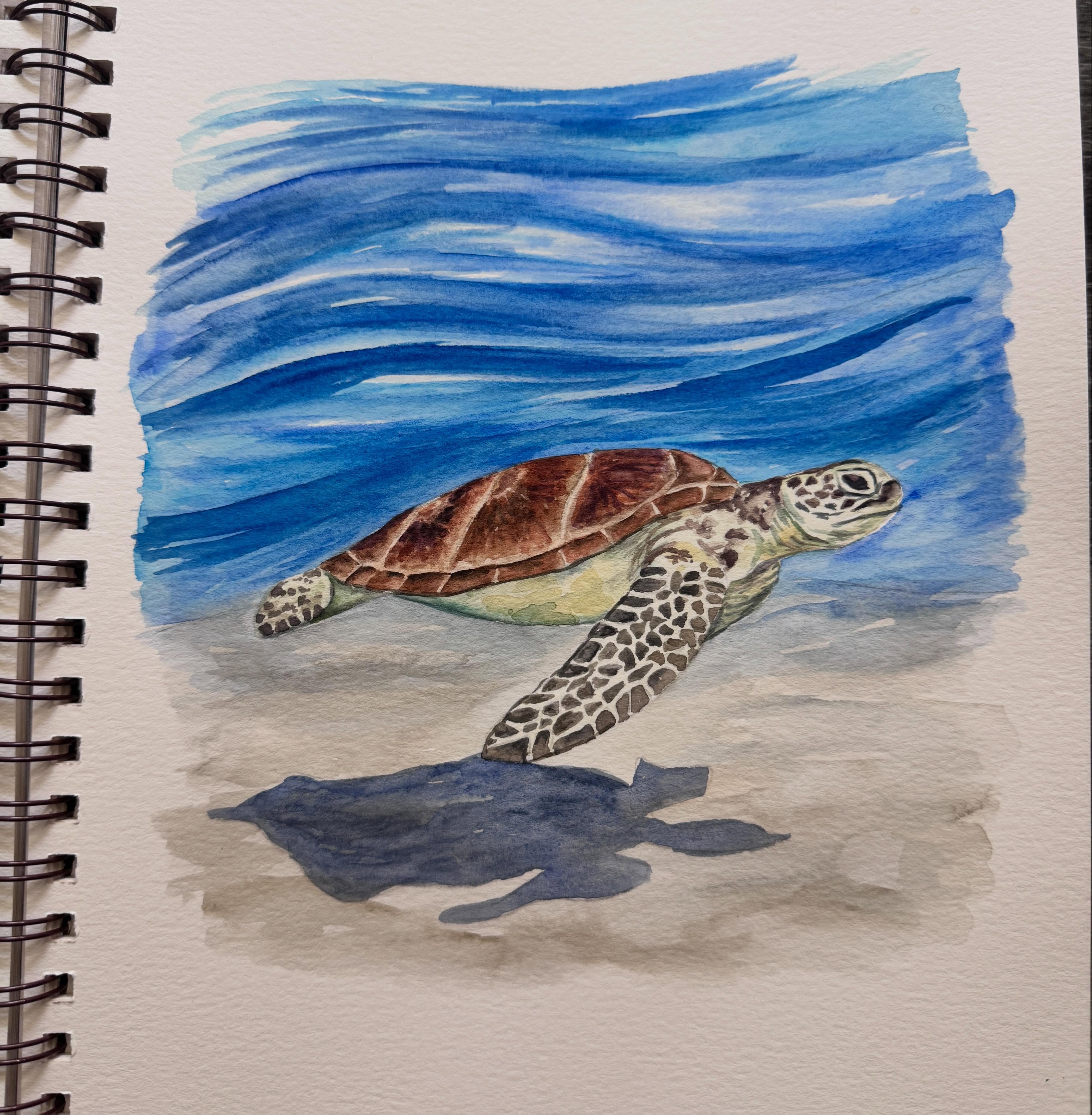 Swim swim swim 🐢
Watercolor zoomclass tomorrow morning!
Get the details on my website
Ernavandyk.com ➡️ zoomclasses
#watercolorzoomclass