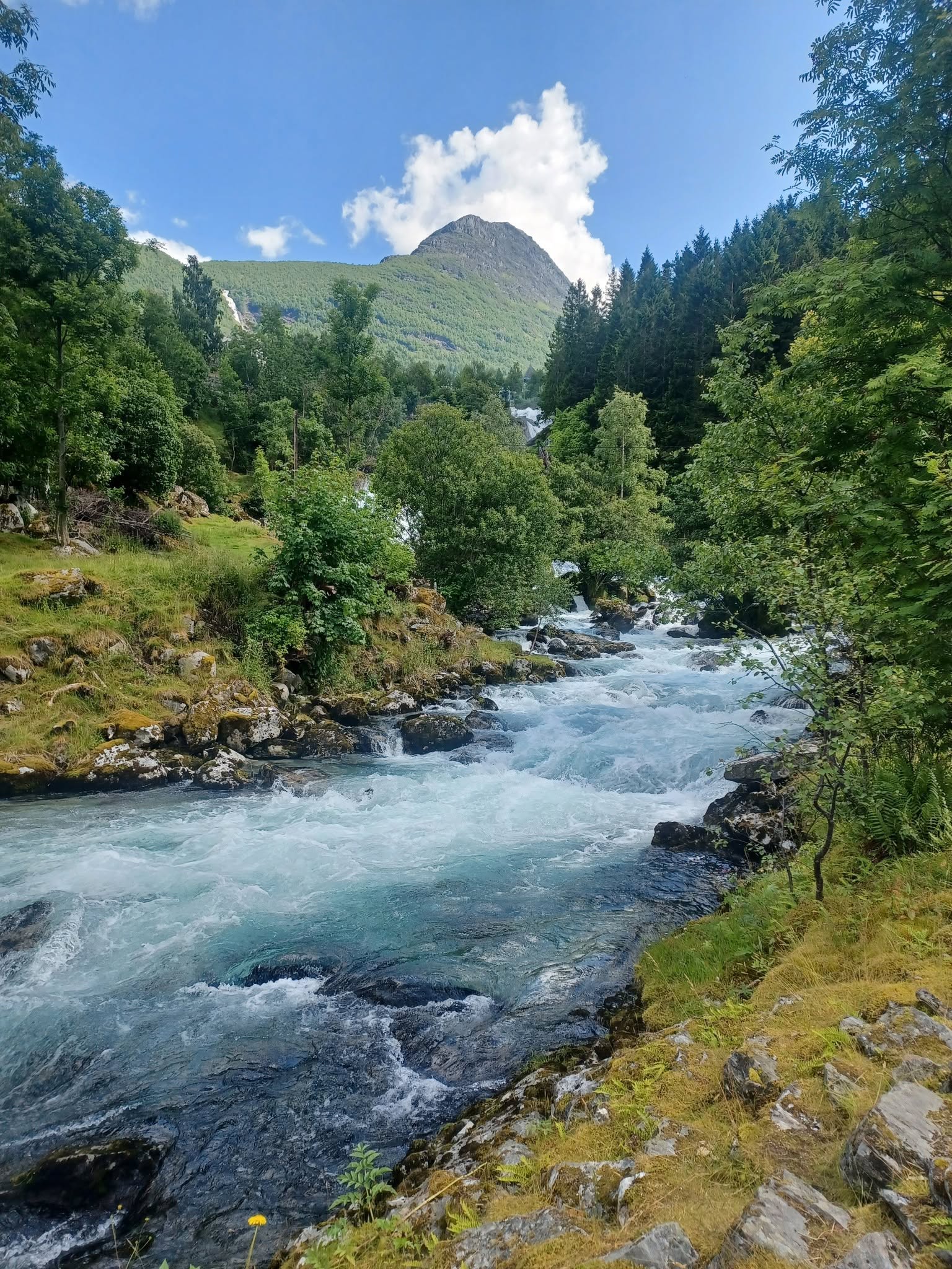 📷 Róbert Molnár