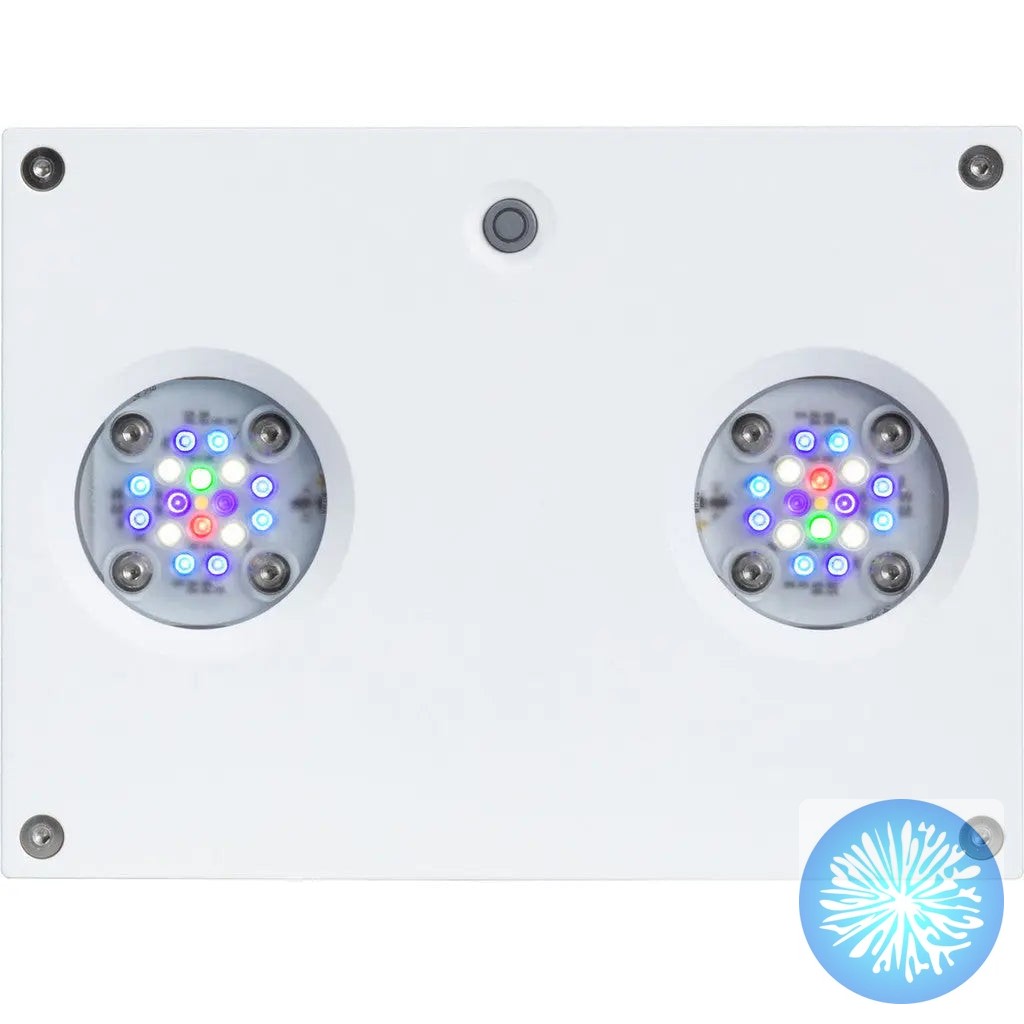 Your reef deserves lighting that makes every coral shimmer and shine. The Hydra 32 HD LED Module delivers 20% more LEDs, brighter whites, and deeper blues for stunning visual impact.
Watch your aquarium transform.
#ReefLighting #AquariumLED #HydraLED #CoralKeeping #SmartLighting