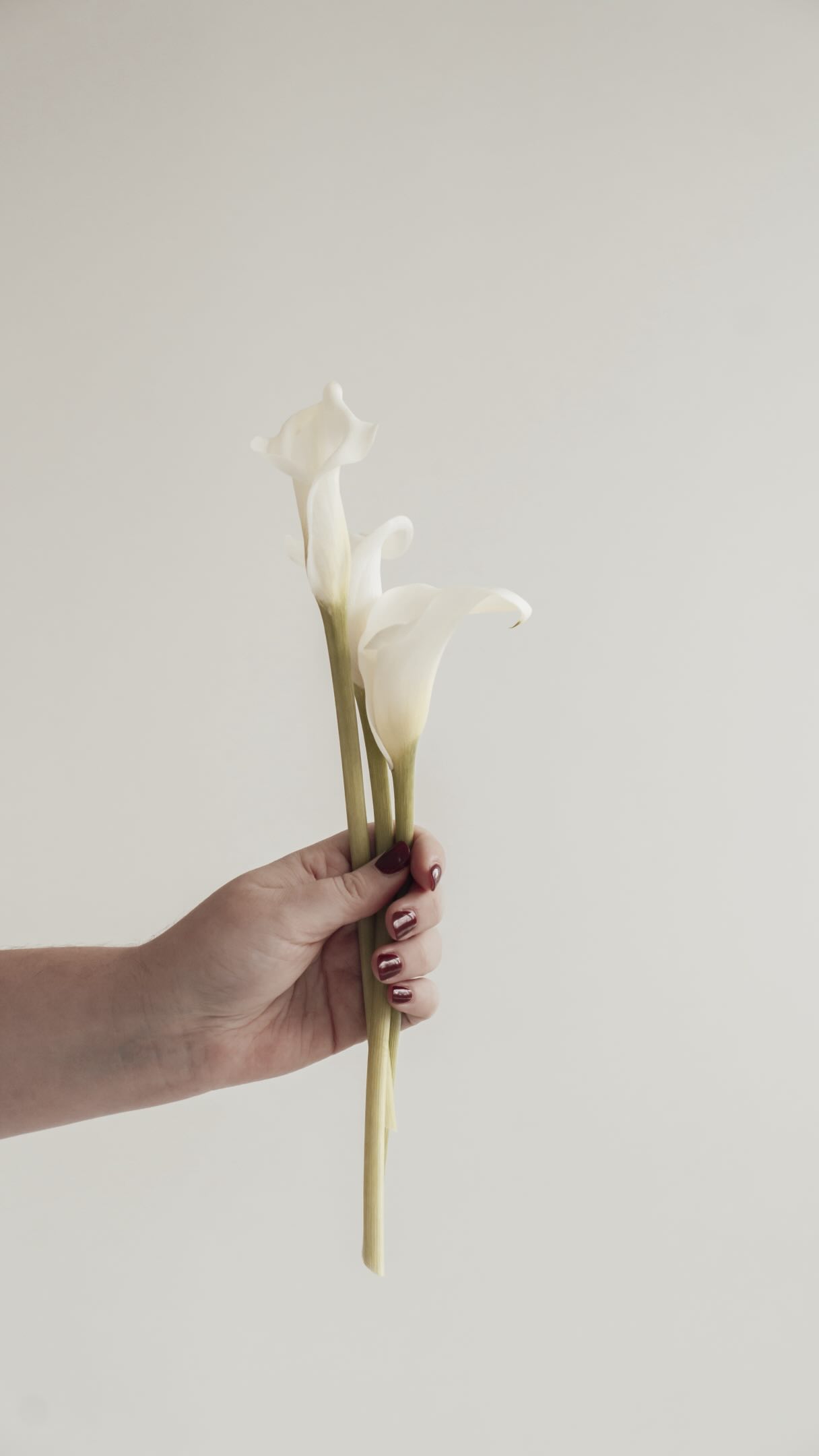 Für mich beginnt eine schöne Hochzeit nicht mit Blumen. Sie beginnt mit Vertrauen. Denn Vertrauen ist für mich die Grundlage jeder Zusammenarbeit.
Wenn ich in den letzten Jahren eines gelernt habe, dann, dass ich nicht mehr mit Menschen arbeiten möchte, denen egal ist wer die Deko hinstellt. Hauptsache man hat nichts miteinander zu tun.
Ich wünsche mir, dass wir uns kennenlernen. Dass wir auf einer Wellenlänge sind. Dass ihr wisst: da ist jemand, der unsere Vision versteht.
Jemand, den ihr jederzeit ansprechen könnt. Der zuhört, mitdenkt und sich für euch interessiert und nicht einfach nur einen Auftrag abarbeitet.
Denn außergewöhnliche Floristik entsteht nicht nur aus schönen Blumen. Sie entsteht, wenn Vertrauen da ist. Wenn ihr euch verstanden fühlt und wenn ihr eure Hochzeit mit gutem Gefühl in meine Hände legen könnt, weil ihr mir und meiner Kunst vertraut.
Für mich ist jede Hochzeit etwas Persönliches. Ich gestalte nicht einfach Dekoration. Ich darf Teil eines der wichtigsten Tage in eurem Leben sein. Und genau deshalb möchte ich, dass ihr euch vom ersten Gespräch bis zum Hochzeitstag gesehen, verstanden und gut aufgehoben fühlt.
Mit Ivy & Rose möchte ich für mehr stehen als nur für Blumen. Für eine persönliche Begleitung, durchdachtes Design, für florale Konzepte, die Emotionen und Ästhetik gleichermaßen transportieren und für das Gefühl, euren Tag voller Vorfreude genießen zu können, weil ihr wisst, dass alles in den richtigen Händen ist.
Titelbild: @wriedenstudio
Hochzeitsdeko
Hochzeitsfloristik
Dekoverleih