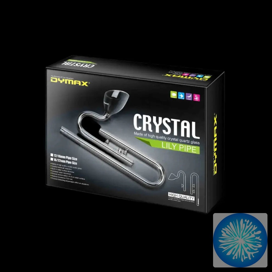 Ever wish your aquarium fixtures could just vanish into the background?
The Dymax Crystal Lily Pipe Set does exactly that. Ultra-clear glass means your aquascape stays the star—not bulky metal pipes. Perfect water flow, zero visual distraction.
#AquascapingGear #LilyPipe #PlantedTank #AquariumSetup #CrystalClear