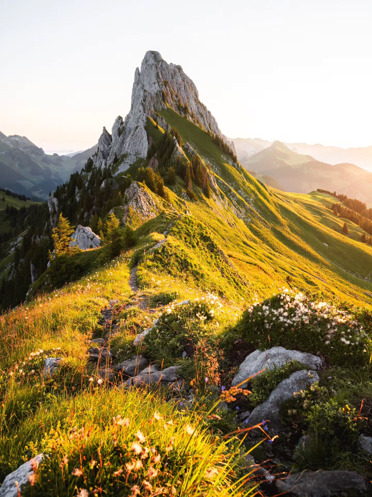 A perfect morning on a ridgeline in the Swiss Prealps.
Prints from the Swiss Alps on my website.