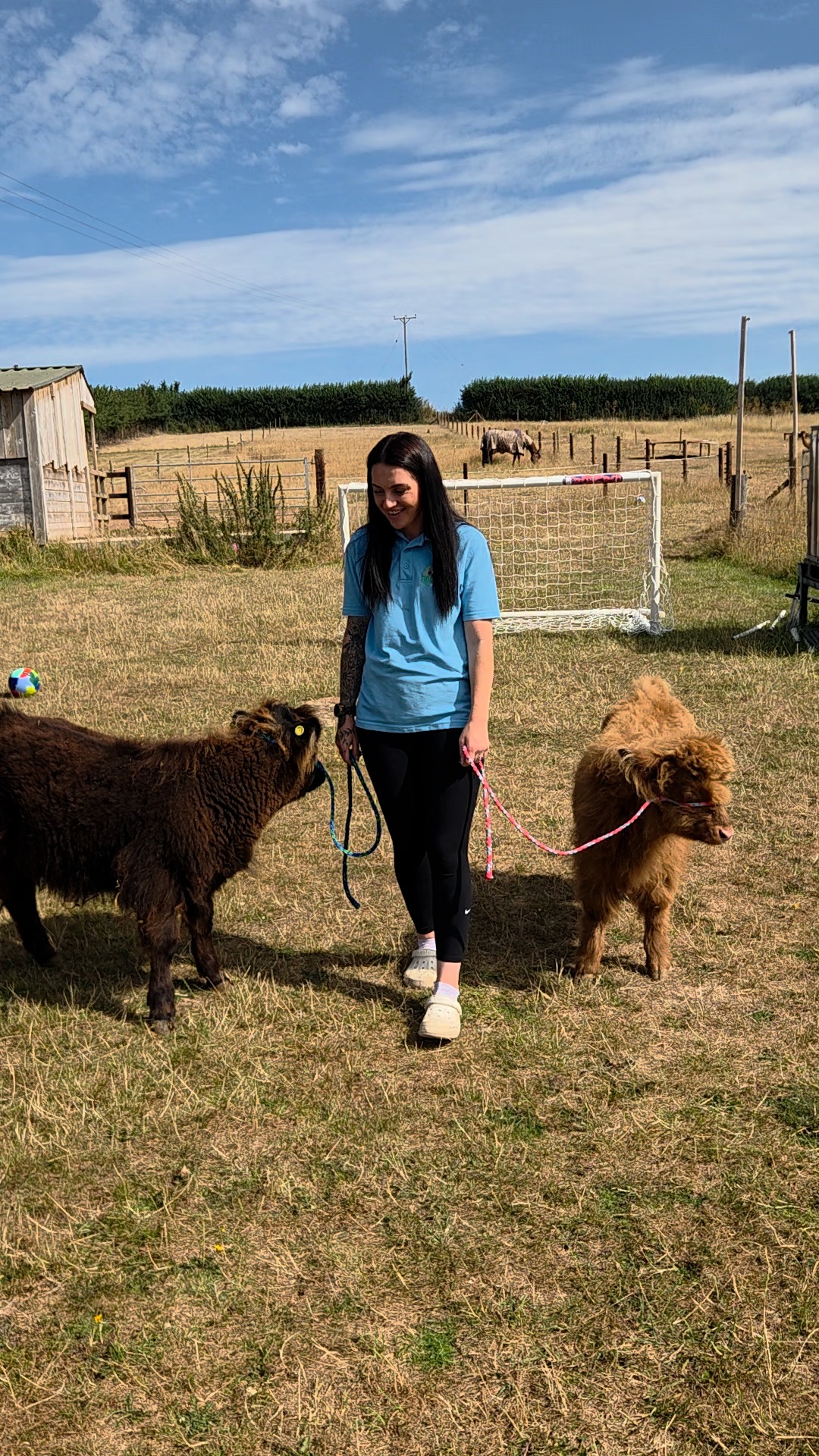 Come and meet the animals at Little Clayhill Farm! 🐮
Charley has been spending time with our friendly Highland calves, and you can meet them and many of our other animals during our farm tours and animal experiences.
We still have spaces available for tomorrow’s farm tour, so book now and enjoy a relaxed visit around the farm, meet the animals and finish with a delicious cream tea.
🌿 Farm tours: www.perrymoorfarm.co.uk
🐑 Animal experiences: www.littleclayhillfarm.co.uk
Spaces are limited, so don’t leave it too late to book!