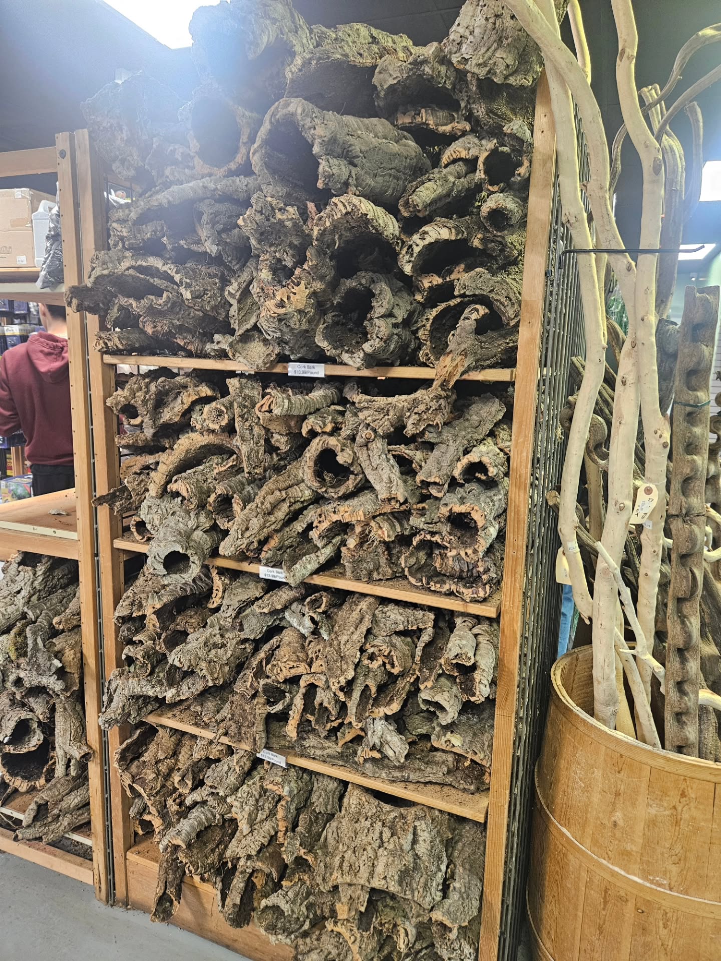Cork is back!
#dfwreptarium #dfwreptiles #reptileshop #petshop #dallastexas