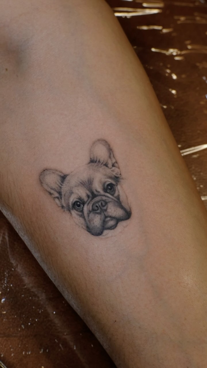 Pet portrait tattoos have a special place in my heart 🥹 #petportraittattoo #tattoobigisland #tattookamuela #tattookona #tattoowaimea
