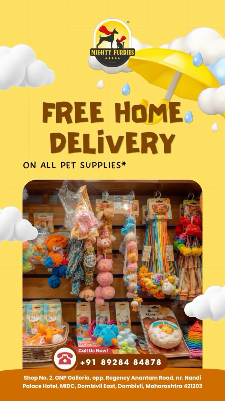 Monsoon is here, but your pet’s essentials are always just a call away! 🌧️🐾🚚
No more stepping out in the rain or worrying about running out of food, treats, or everyday pet supplies. At Mighty Furries, we bring everything your furry friend needs directly to your doorstep with our FREE Home Delivery service. 💙
Whether it’s premium pet food, nutritious treats, grooming products, toys, or daily essentials, we’ve got you covered—rain or shine. ☔🐶🐱
Because your pet’s routine shouldn’t be interrupted by the weather. Stay indoors, stay dry, and let us take care of the rest.
📦 Fast, reliable & hassle-free delivery
🐾 Premium pet products delivered with care
💙 Convenience for pet parents, comfort for pets
Simply call or WhatsApp us, place your order, and leave the delivery to us!
📞 Order Now: 089284 84878
📍 Mighty Furries – Premium Pet Store & Grooming Center
This monsoon, skip the puddles—not your pet’s essentials. 🐾☔
#MightyFurries #FreeHomeDelivery #MonsoonPetCare #PetEssentials #PetShopping