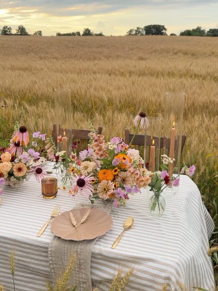 Pour cette dernière parenthèse fleurie au cœur des blés, juste avant la moisson, @village.flowerfarm a dressé une magnifique table d'été où se mêlent échinacées, phlox, zinnias, œillets d'Inde et coréopsis, dans une palette de couleurs chaleureuse. 🤎🧡💜
Une scène éphémère qui nous rappelle que les plus beaux décors sont souvent ceux que la nature compose elle-même. 🌾
🌸 Variétés : zinnias, phlox, pois de senteur, coréopsis et pensées (graines de @whistlingprairieflowers).
#FineFleurMagazine #FlowerStyling #SlowFlowers #FlowerTable #FloralDesign #FleursDeSaison #JardinFleuri #Zinnia #Echinacea #FlowerLovers #ArtDeVivre #NatureInspiree
