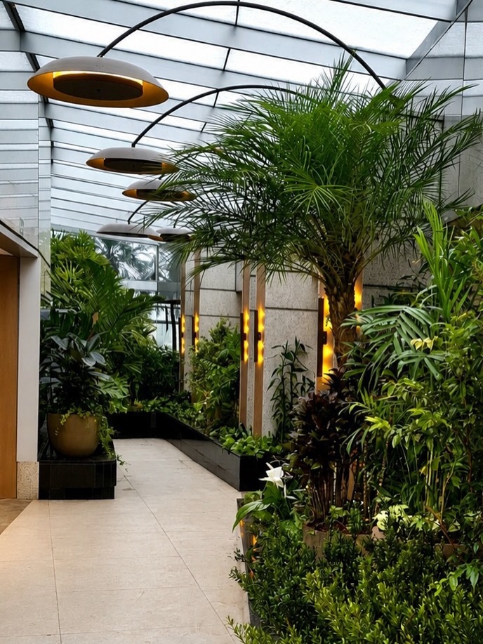Transformar o ambiente de um restaurante em um respiro de natureza, esse foi o propósito desse paisagismo. 🌿
Criado sob laje, o espaço pedia soluções técnicas específicas, mas também uma oportunidade: usar uma vegetação mais exuberante, capaz de surpreender quem passa por ali e tornar a experiência gastronômica ainda mais especial.
A seleção das espécies foi pensada para criar frescor e acolhimento, combinando diferentes texturas e tons de verde que dão profundidade e movimento ao ambiente.
O resultado é um corredor verde que convida a desacelerar logo na chegada.