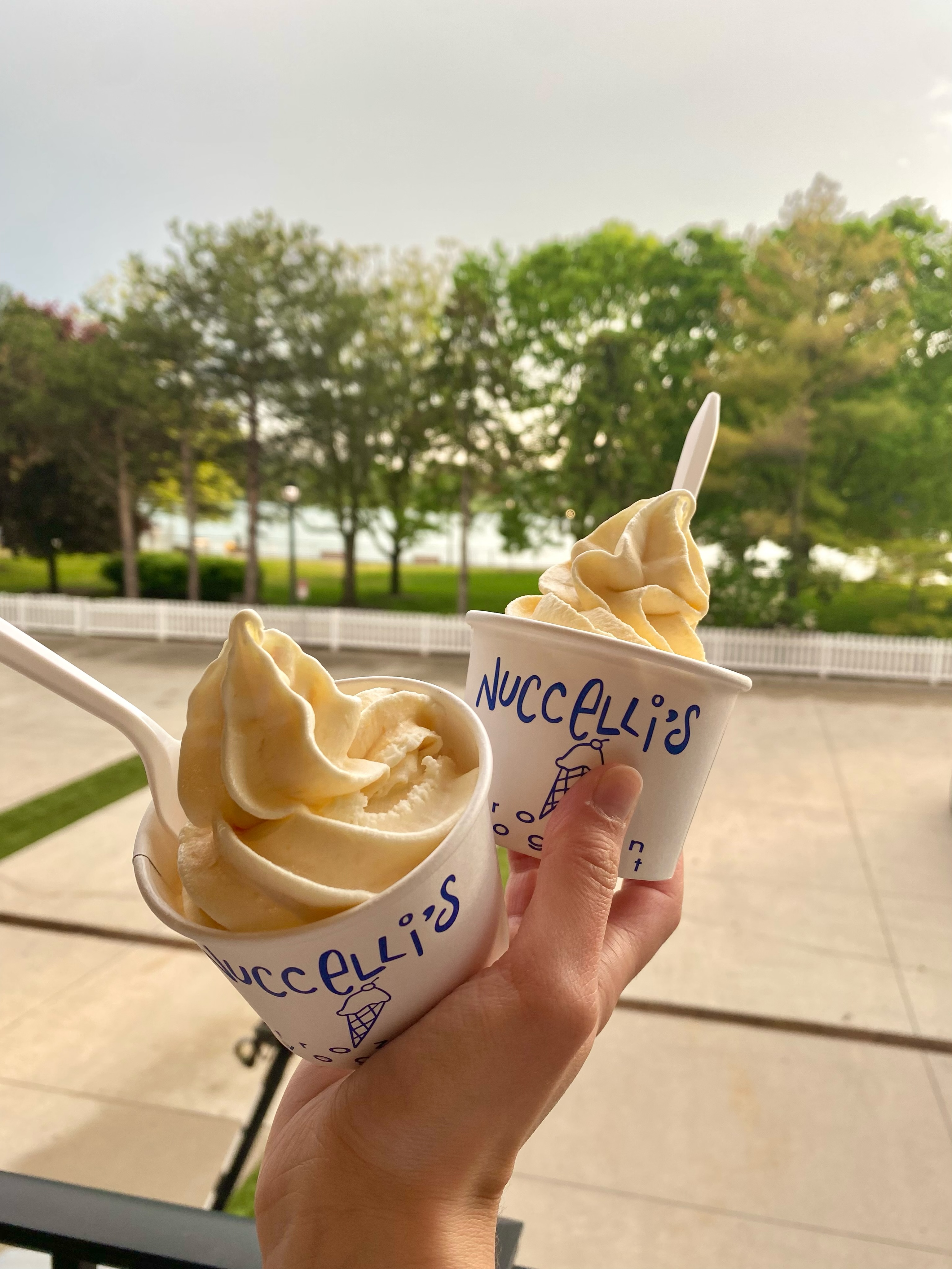 The peach obsession is real 🍑✨
🍑 Nothing beats the taste of real fruit... because life is just peachy with the real thing
#FrozenYogurt #YQGBusiness #YQGFood
#Amherstburg #ᴇxᴘʟᴏʀᴇᴘᴀɢᴇ
