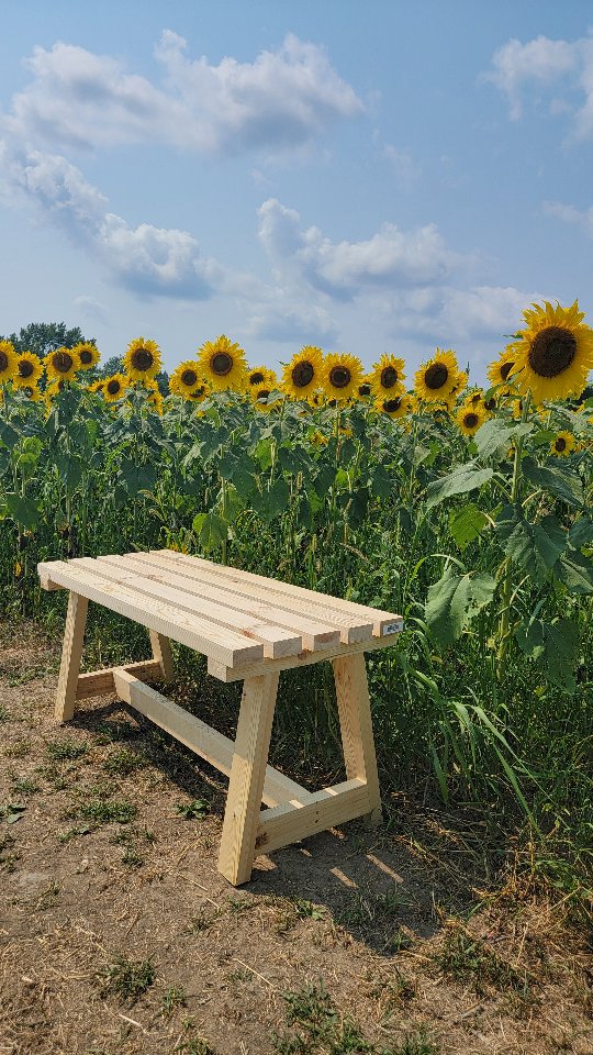 We had a great two day summer workshop session with the crew at Phoenix Learning Center! They built benches out of 2x4 construction lumber to be placed along the maze at the sunflower experience in Buffalo 🌻🌻🌻